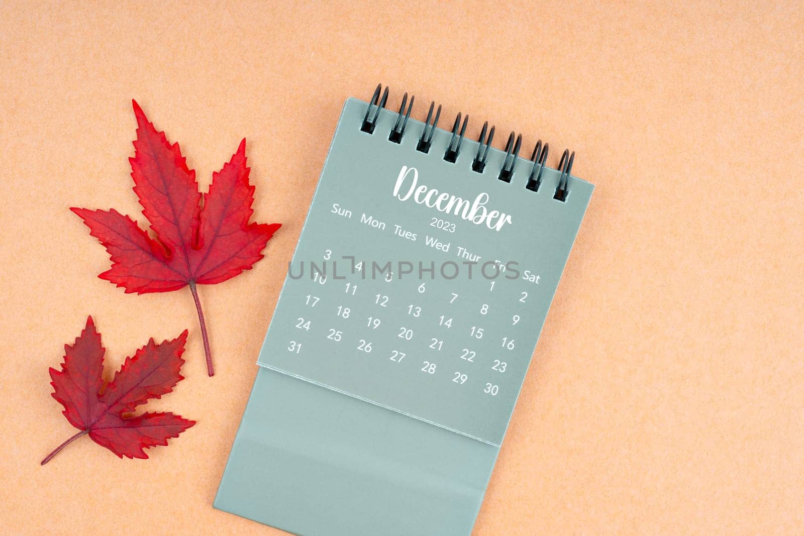 December 2023 monthly calendar and fall leaves on brown background.