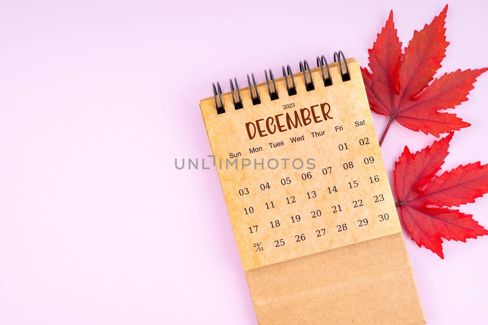 December 2023 monthly calendar and fall leaves on pink color background. by Gamjai