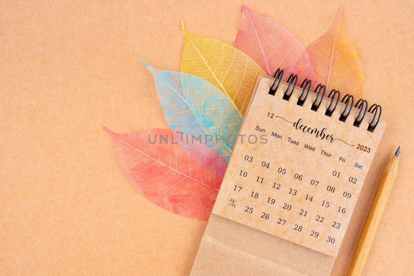 December 2023 monthly desk calendar and fiber structure of dry leaves texture, skeleton leaf on brown background.