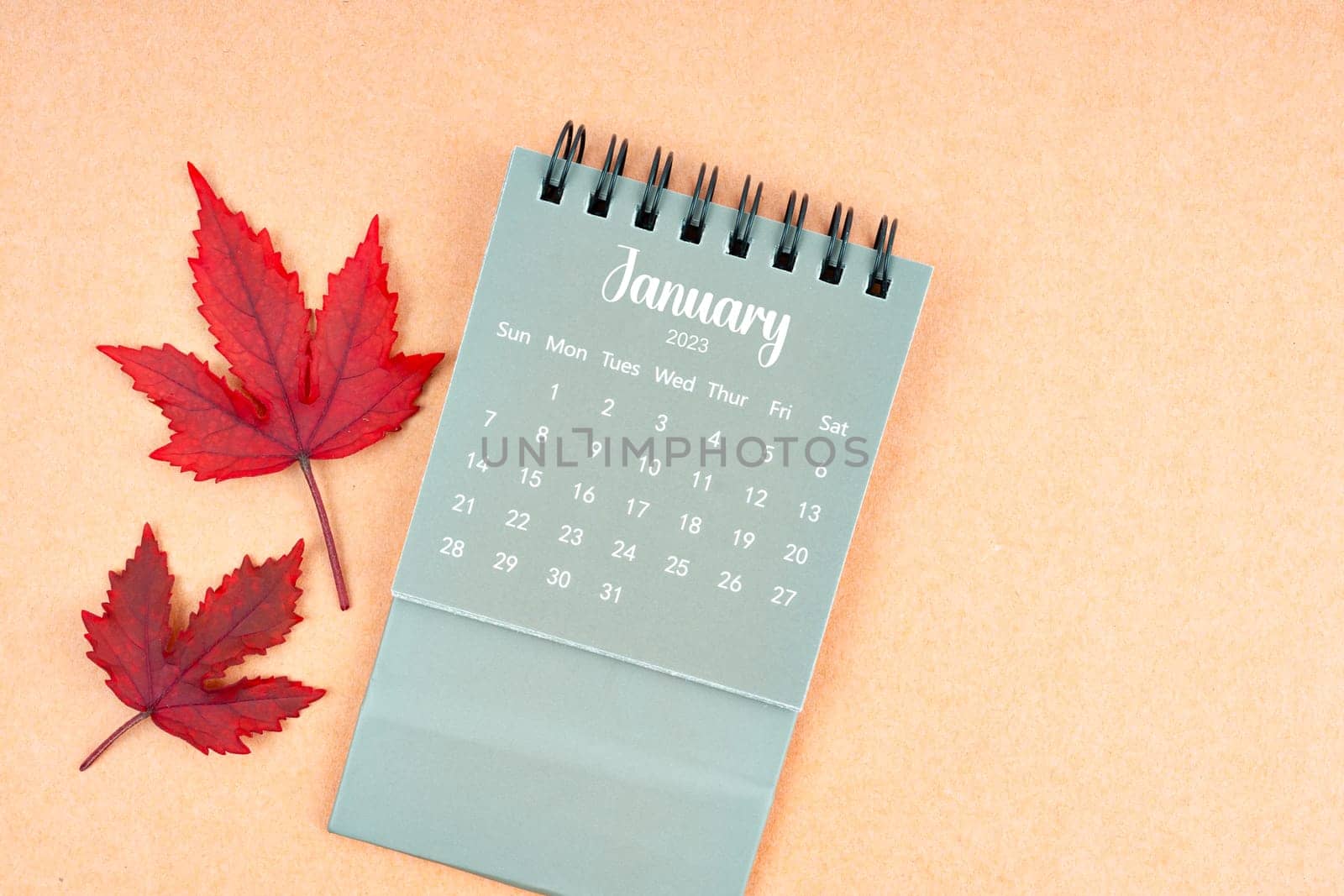January 2024 monthly calendar and fall leaves. by Gamjai