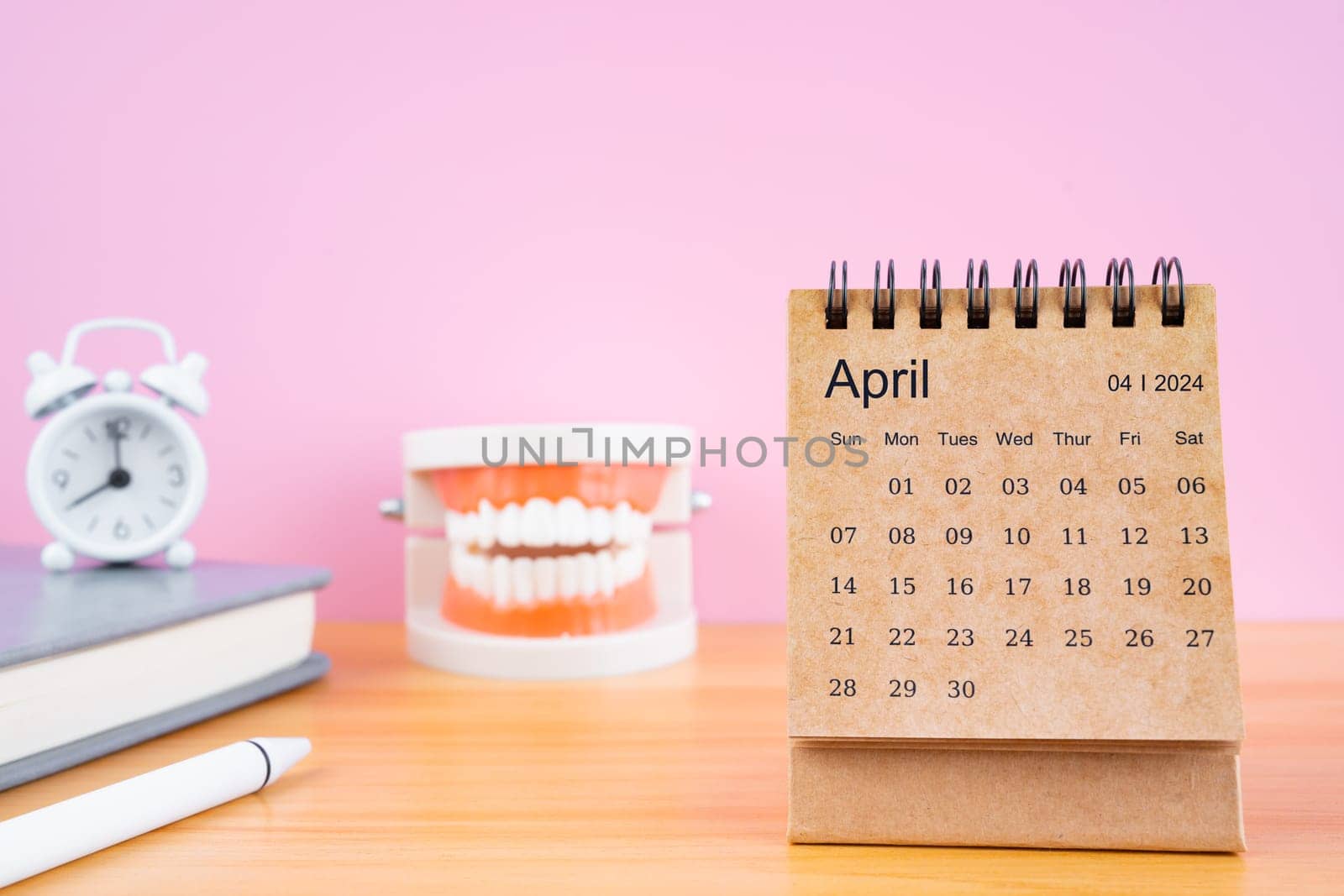 April monthly desk calendar for 2024 year and model dentures on the table.  by Gamjai