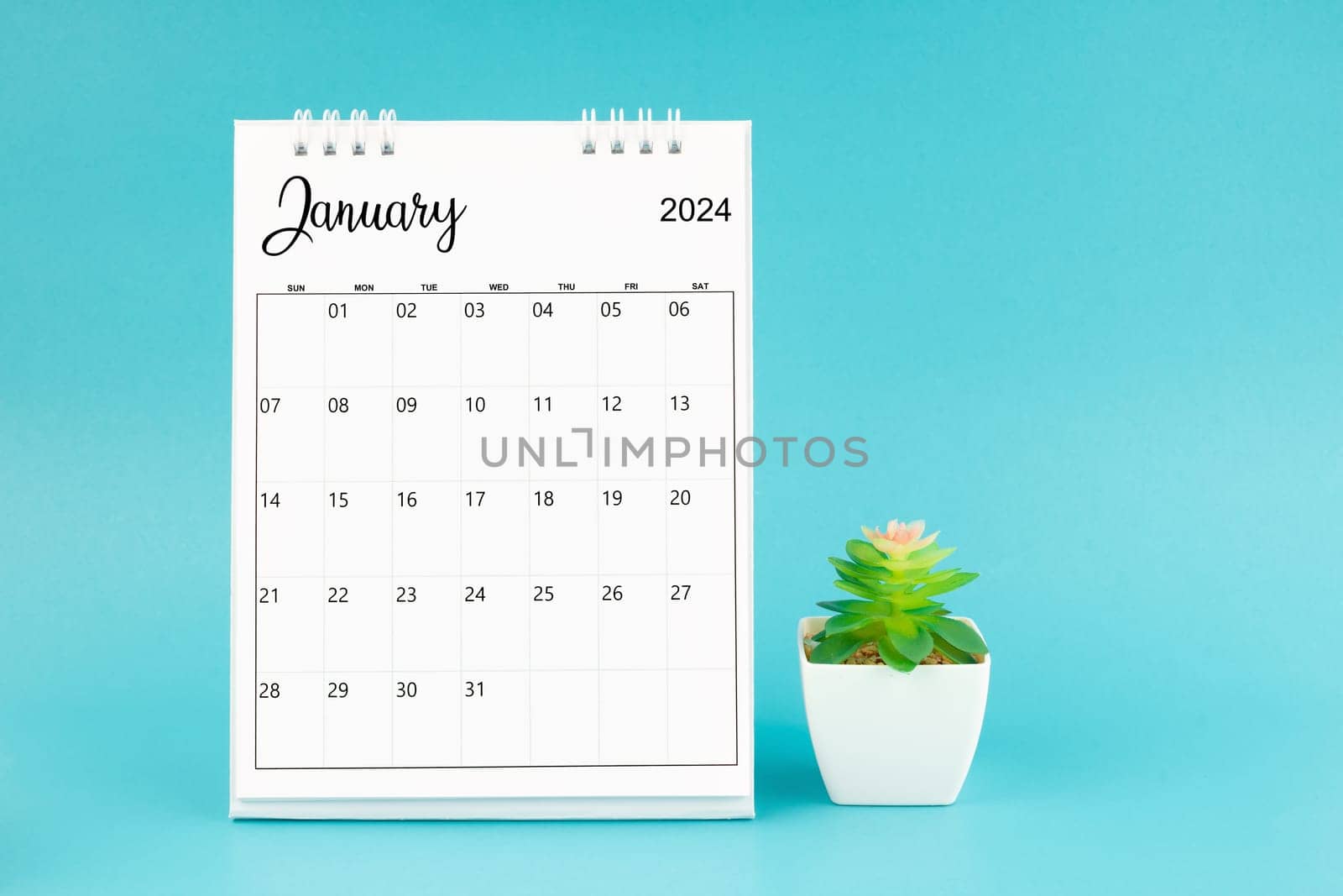 2024 January desk calendar and plant pot on blue background. by Gamjai