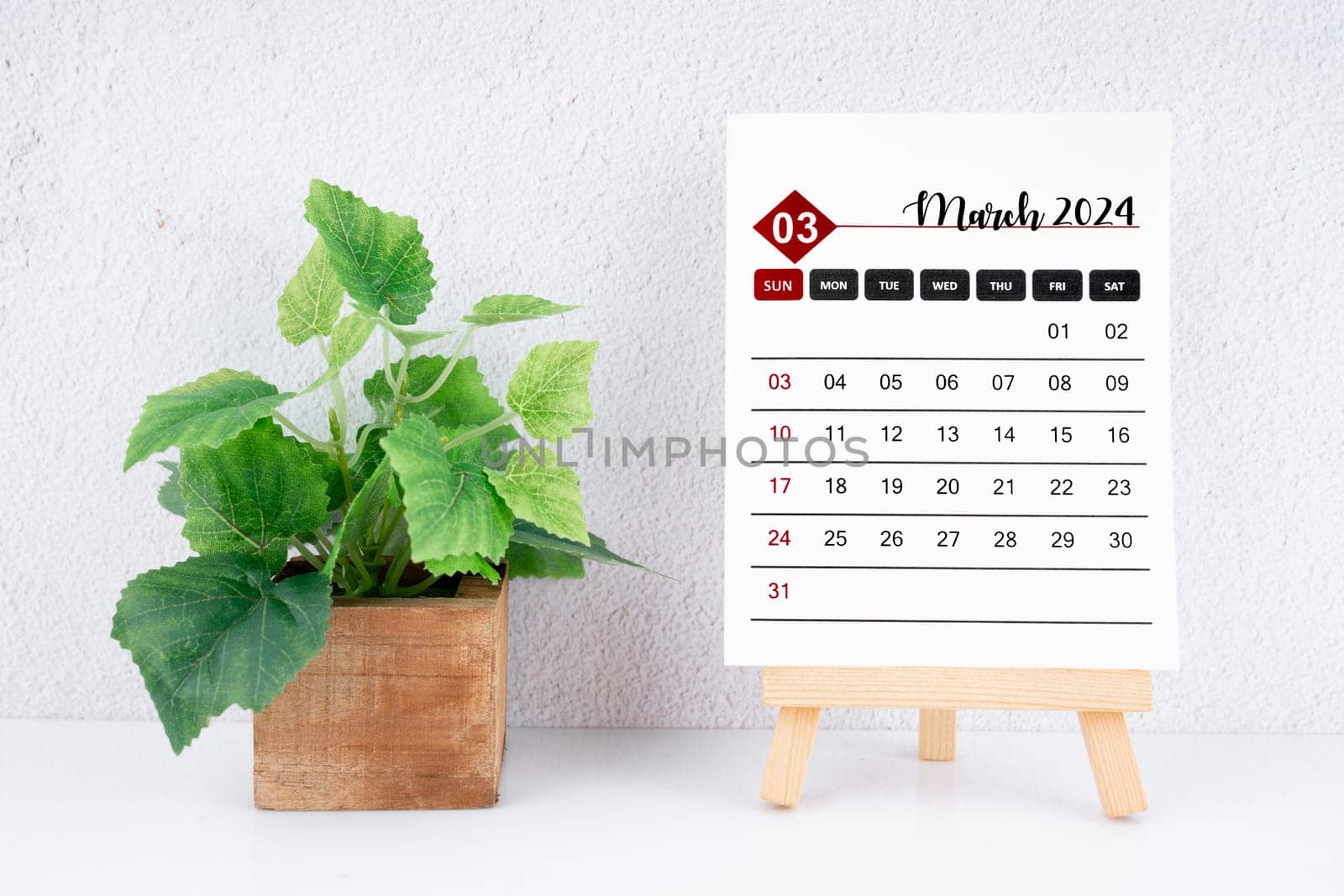March 2024 calendar page and wooden plant pot on white table.