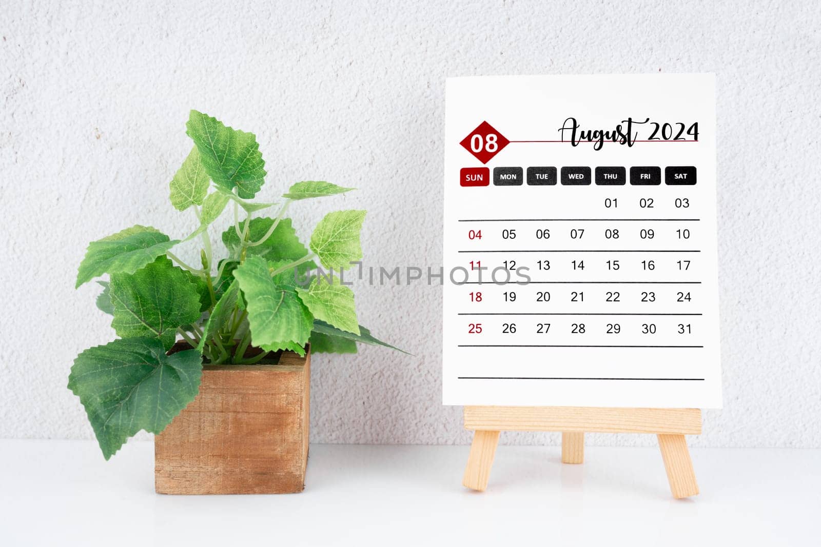 August 2024 calendar page and wooden plant pot on white table.
