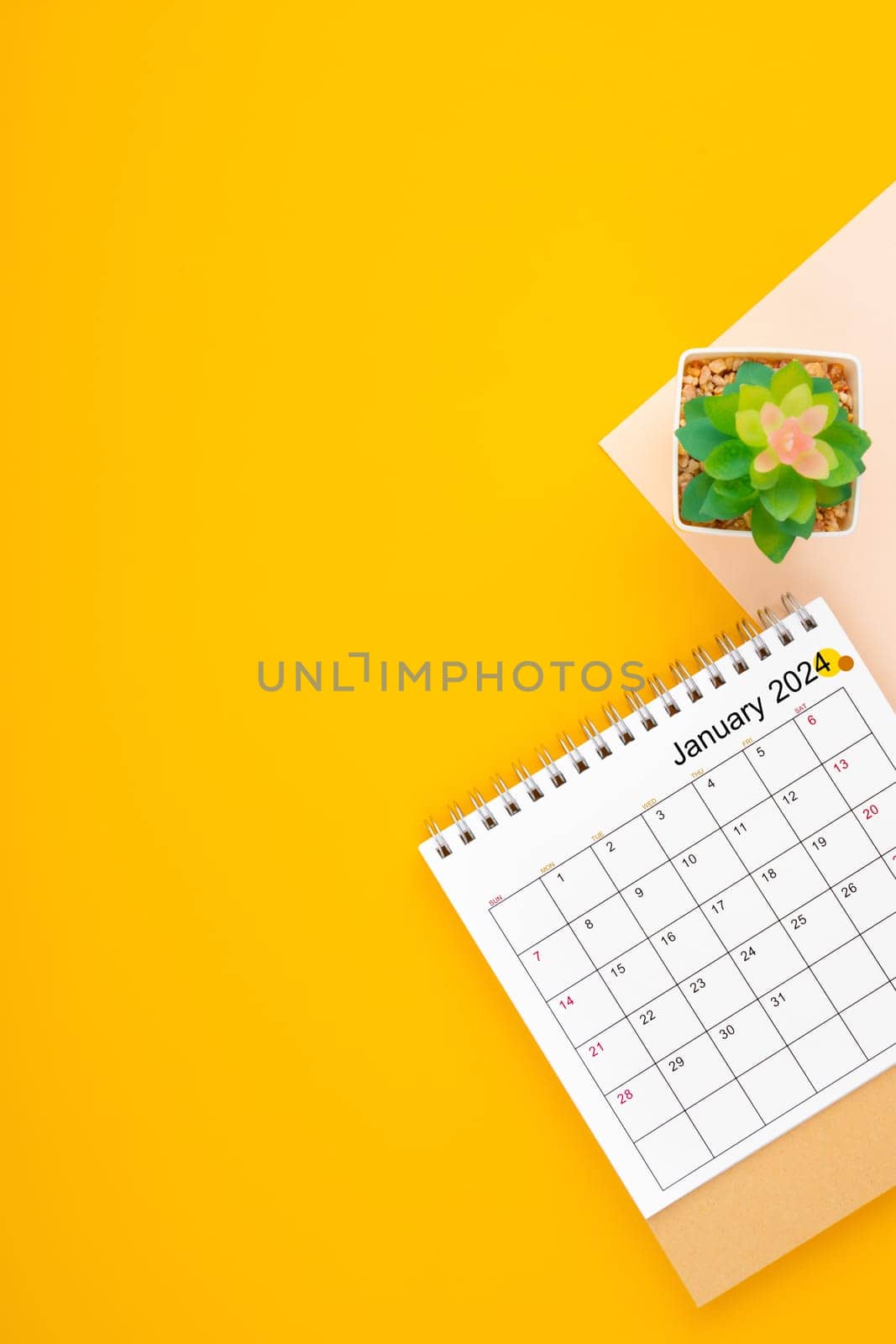 Calendar page for January 2024 and houseplant on yellow background. by Gamjai