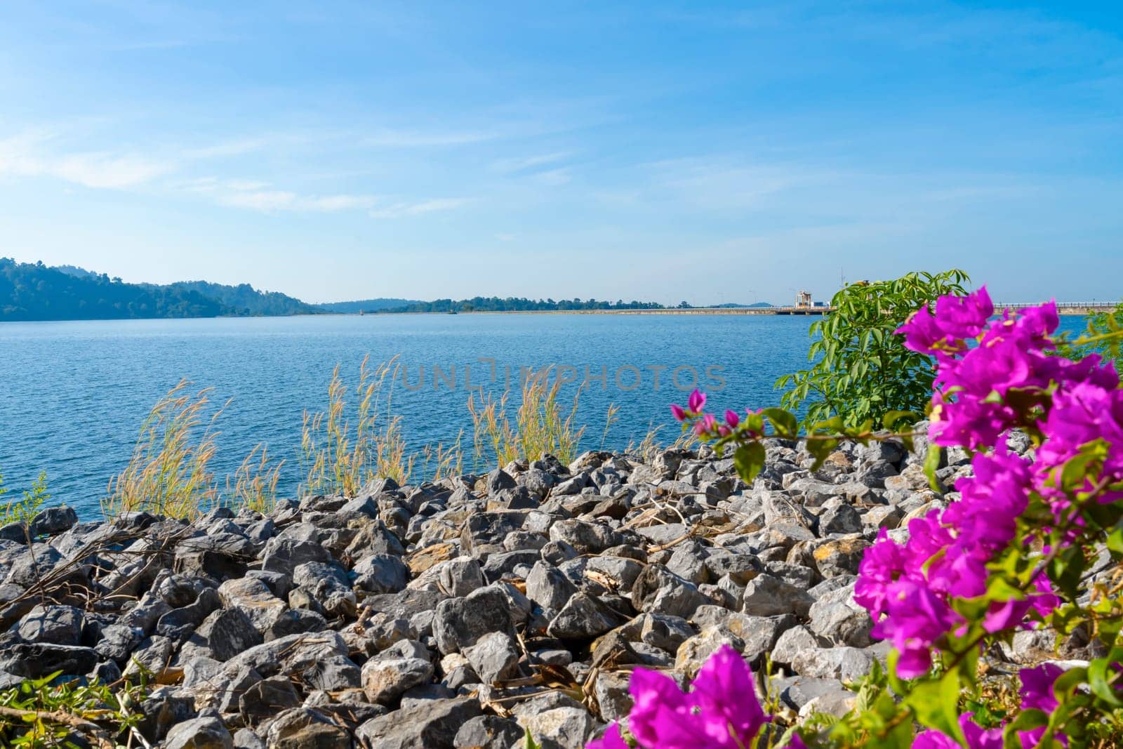 Flower and green mountain at Khun Dan Pra kan Chon Dam, Nakon Nayok province, Thailand.