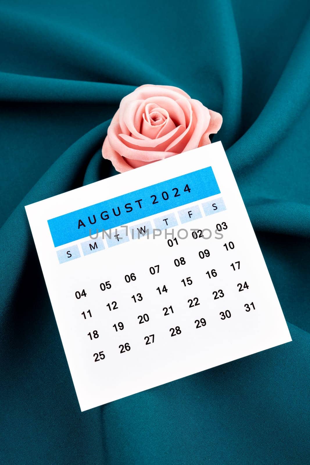 August 2024 calendar page and pink rose on green textile background.