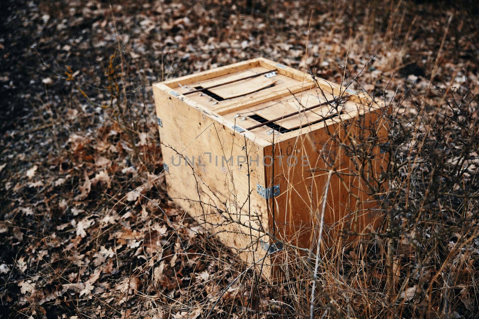 Box for transporting game animals. Container for relocation of wild animals.
