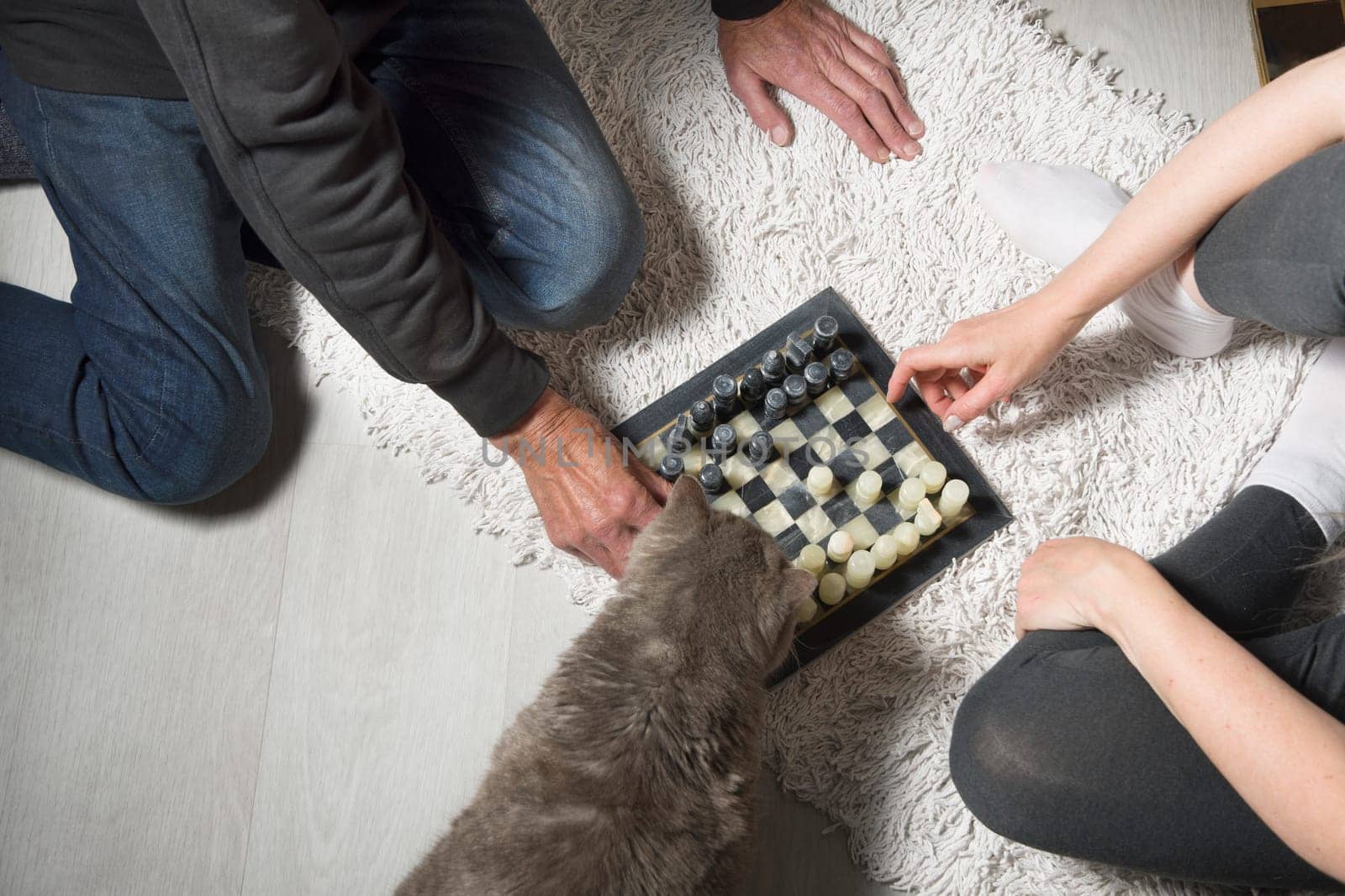 married couple playing chess on the carpet and a gray cat watching the game, evening games at home with family by KaterinaDalemans