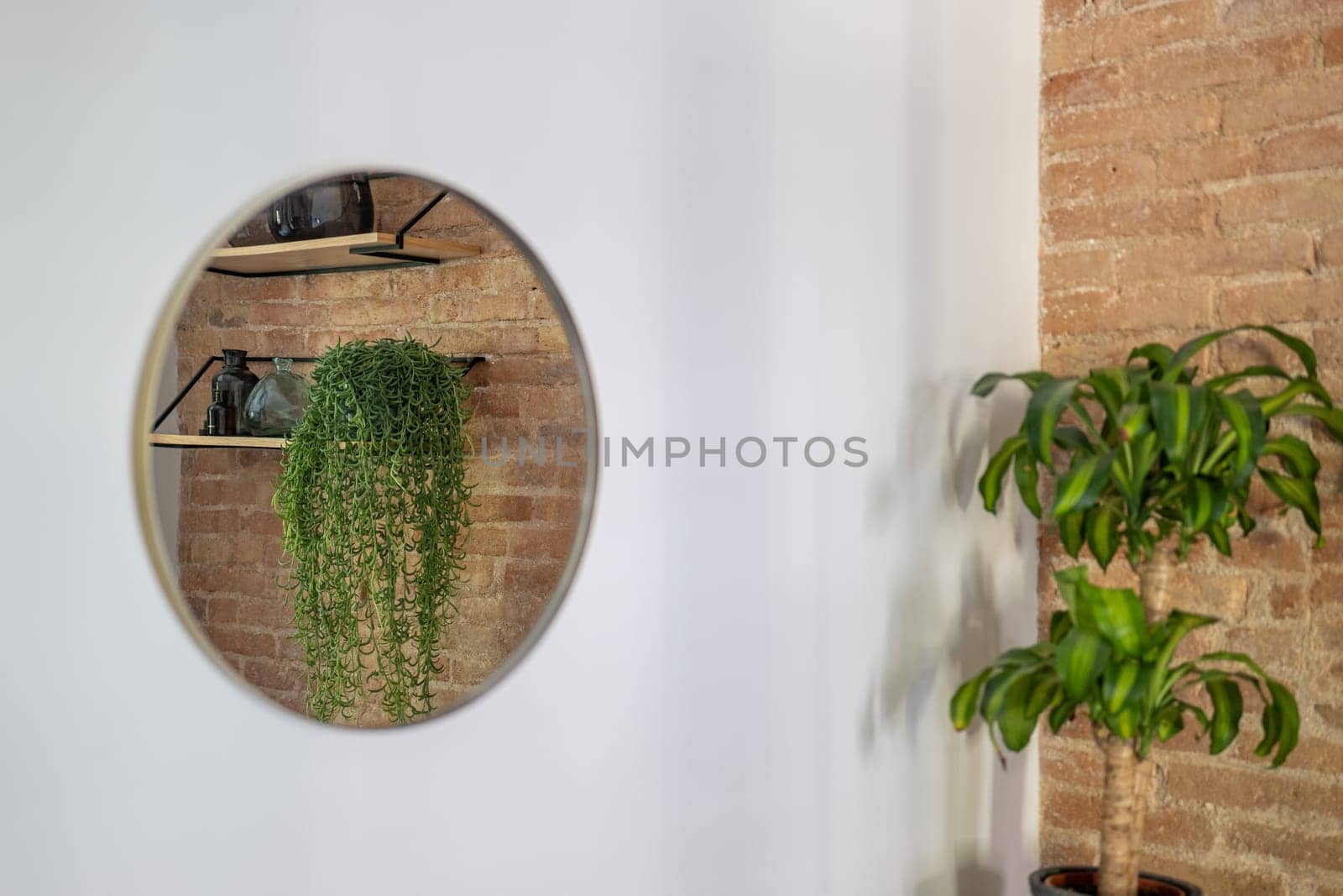 Round mirror on white painted wall with reflection of houseplants. Interior decoration details in modern apartment after renovation