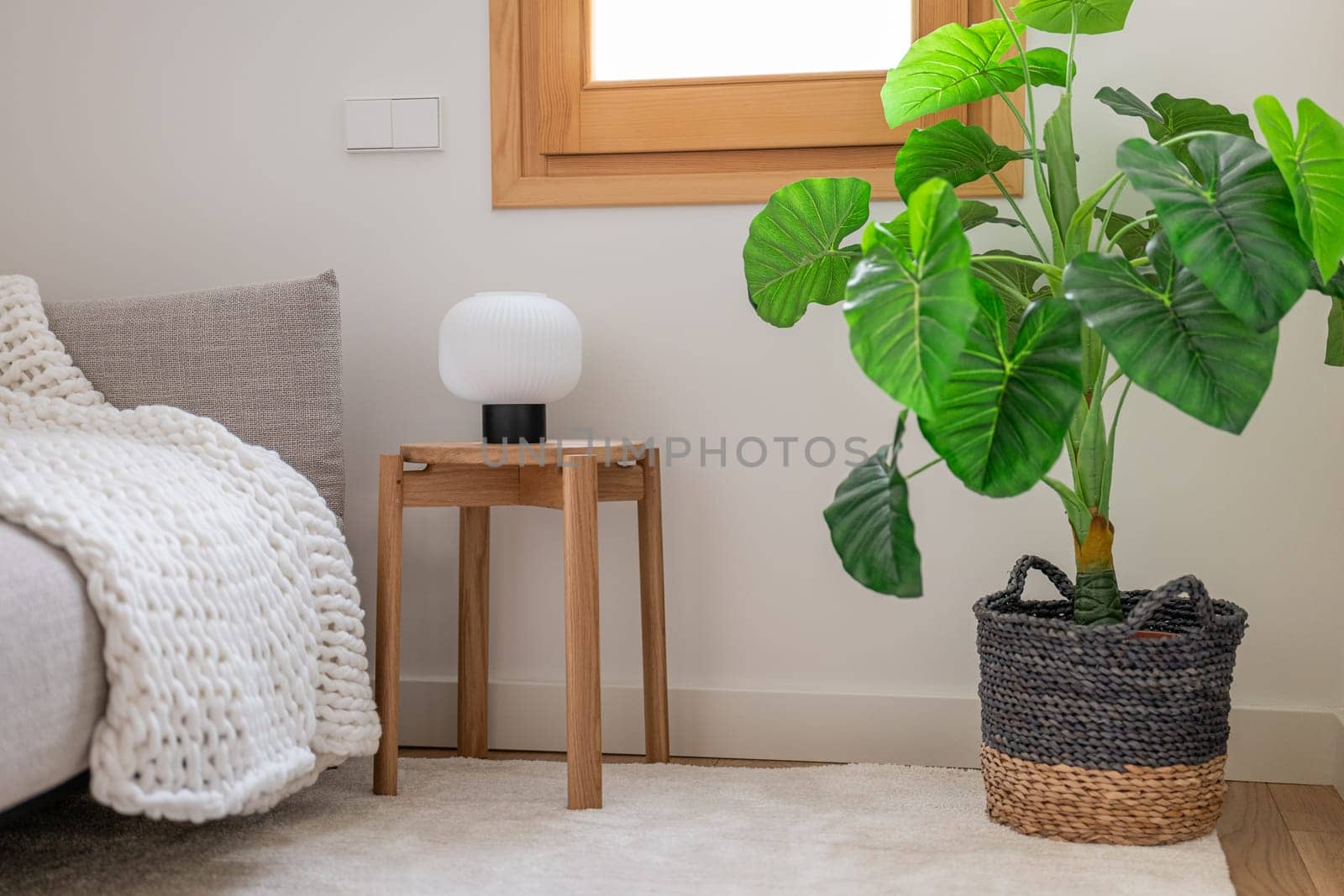 Pot with flower on floor of bedroom next to stool with light and terry bathrobe put sofa. Created coziness in renovated room with wooden window