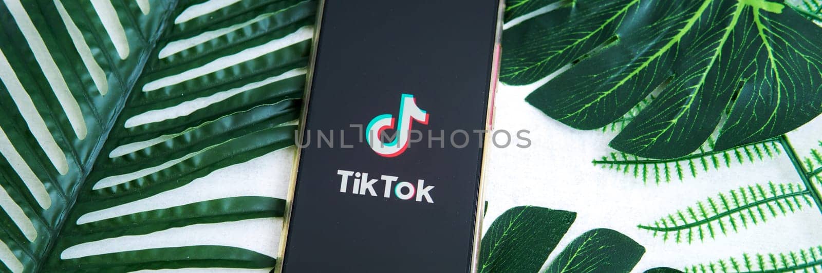 Tver, Russia-August 5, 2020, the tik tok logo on the smartphone screen on a background with green plant leaves. Tik-Tok icon. Tiktok social network. by Annu1tochka