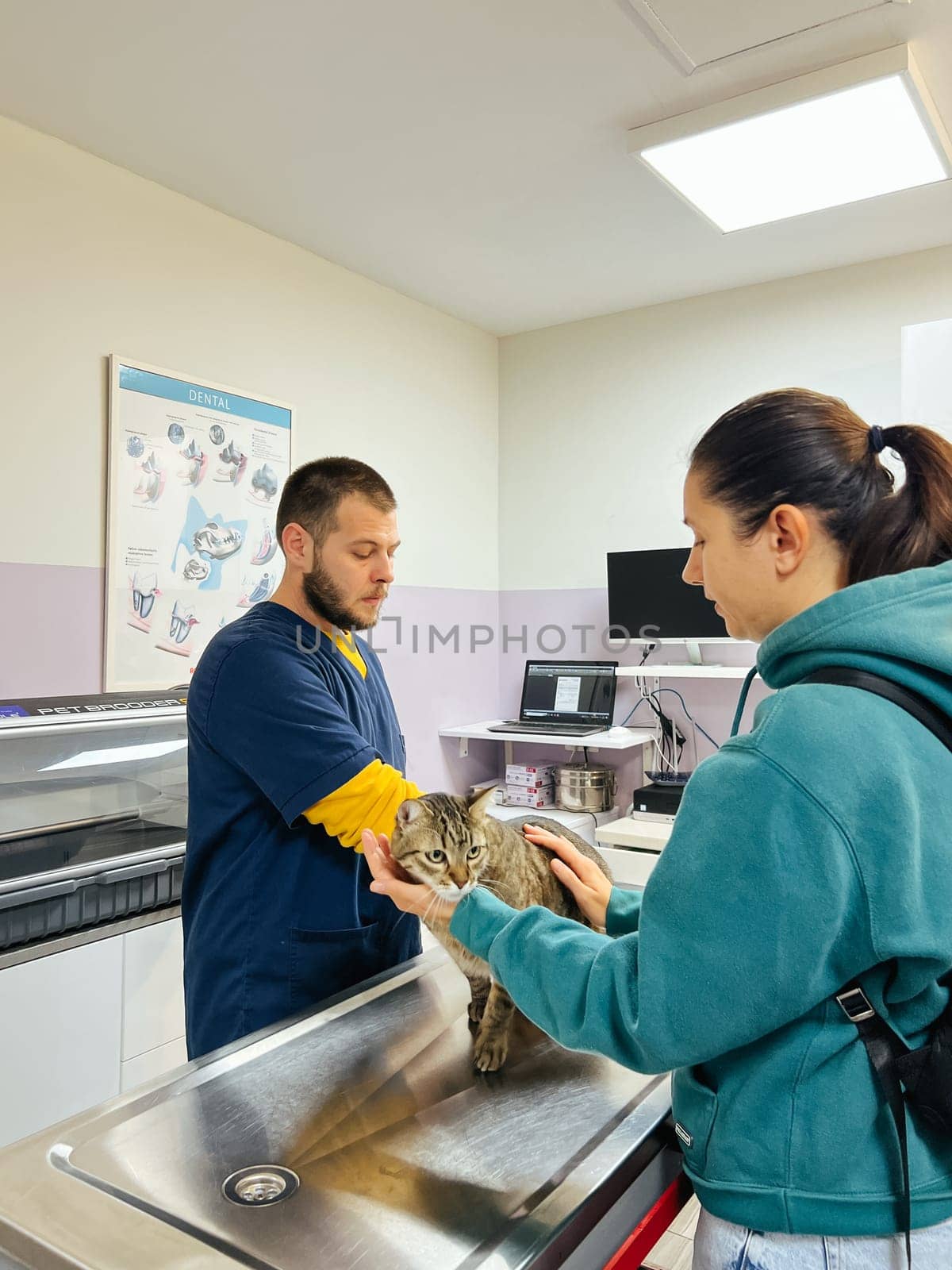 Budva, Montenegro - 25 december 2022: Woman holding cat on table while being examined by doctor in clinic by Nadtochiy