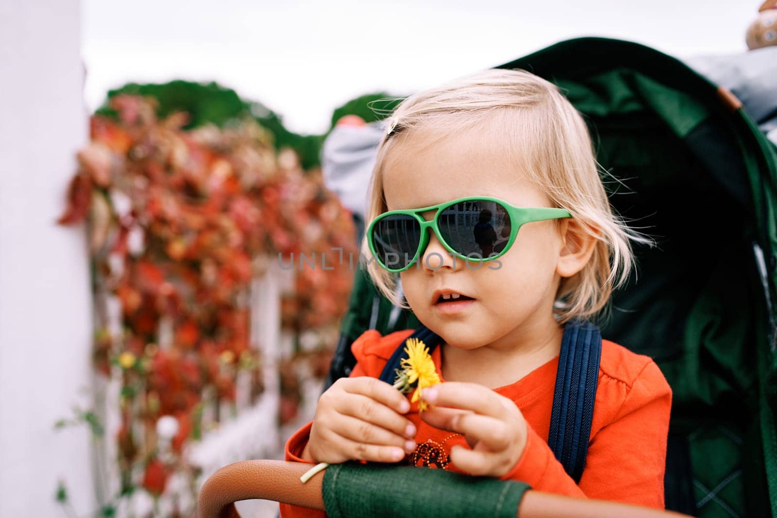 Little girl in sunglasses with a yellow dandelion sits in a stroller by Nadtochiy