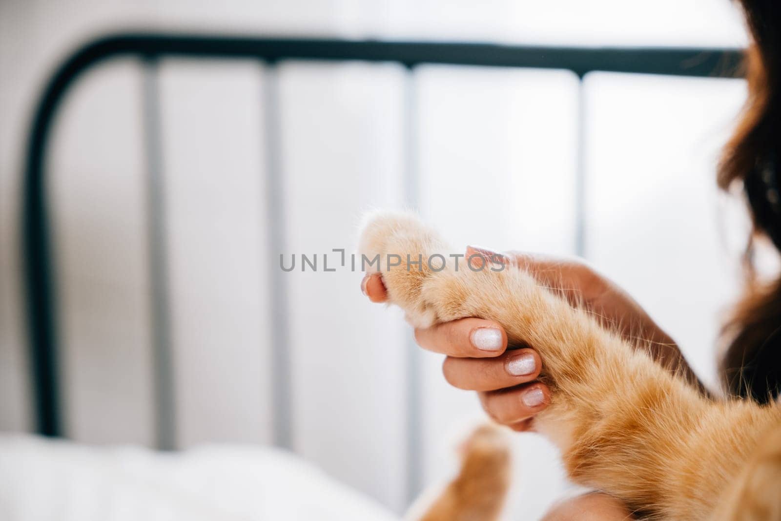 A domestic cat comfortably sleeps in a woman's lap while she holds its paw, their legs touching in harmony. A perfect illustration of the togetherness and support found in a human-feline friendship. by Sorapop