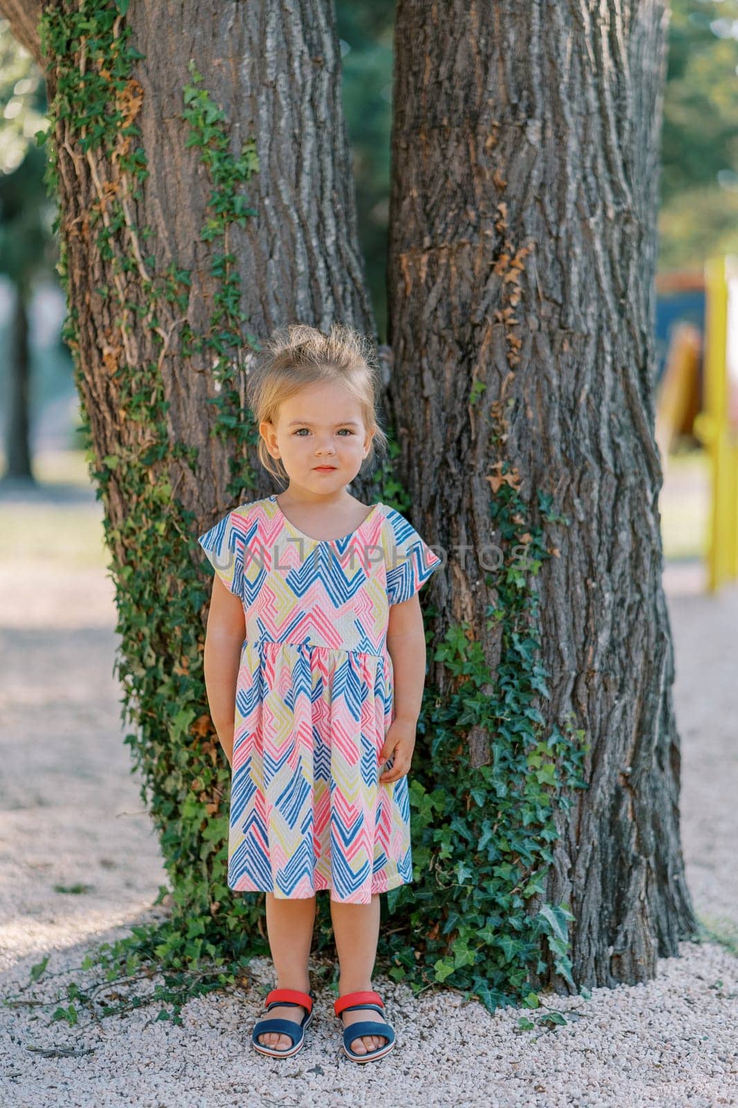 Little girl stands near a tree covered with lush green ivy. High quality photo