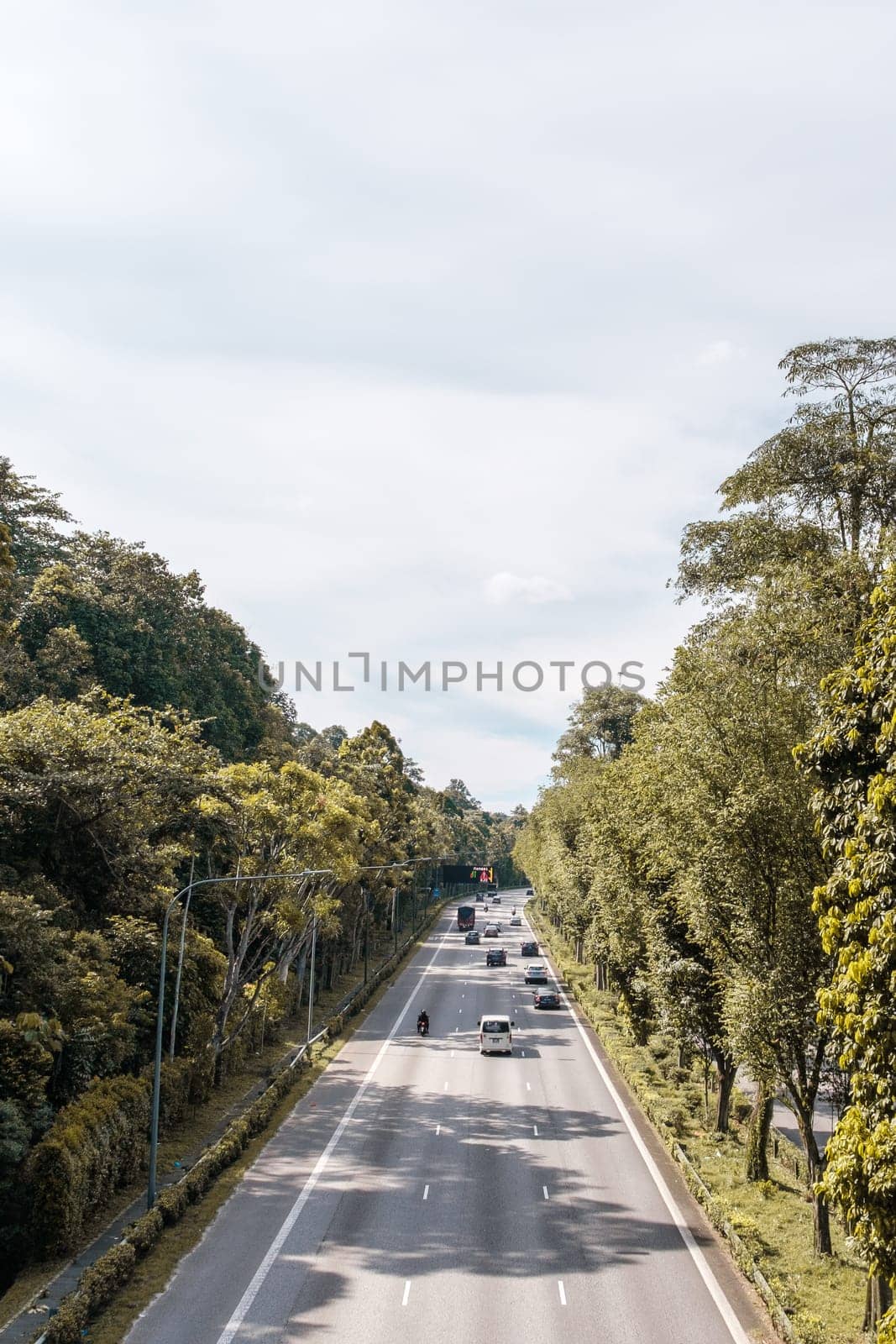 Highway Lined with Beautiful Trees by jinhongljh