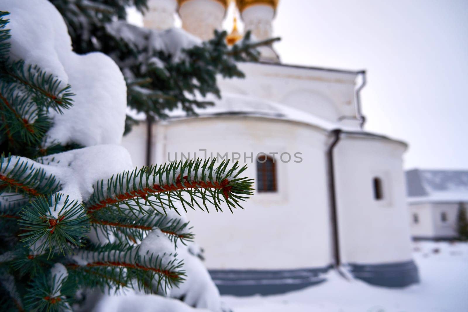 Fir branches covered with snow against the background of a white Orthodox church
