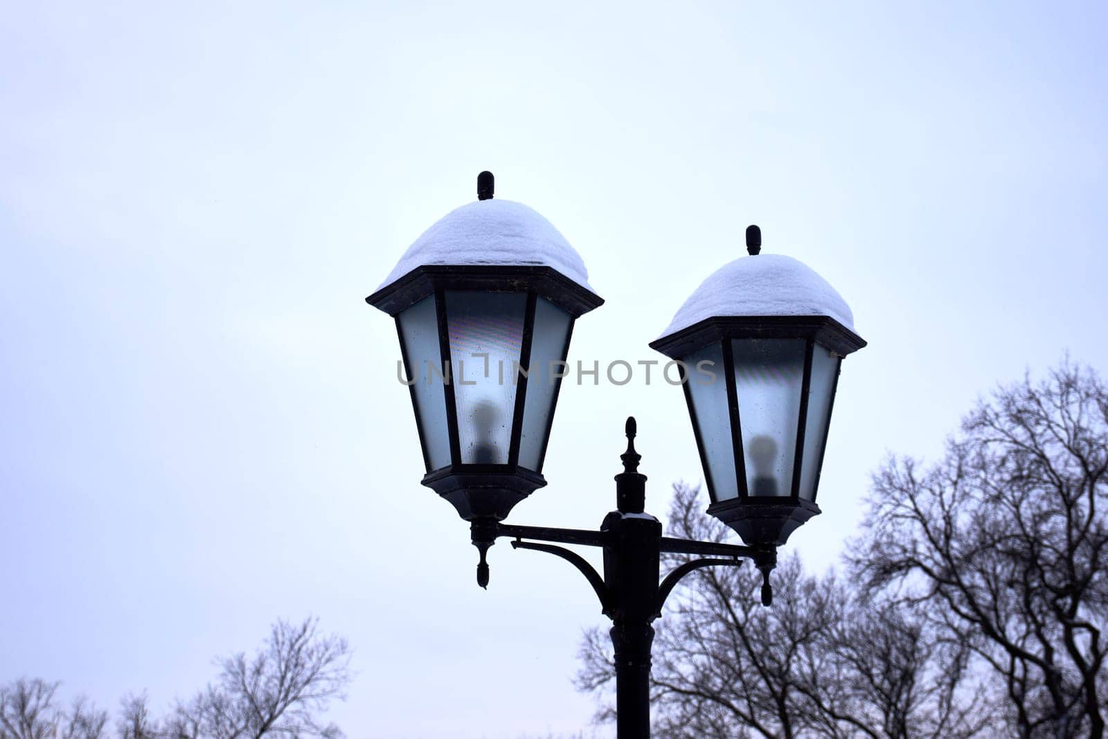 Lamppost in a winter park close-up by DAndreev