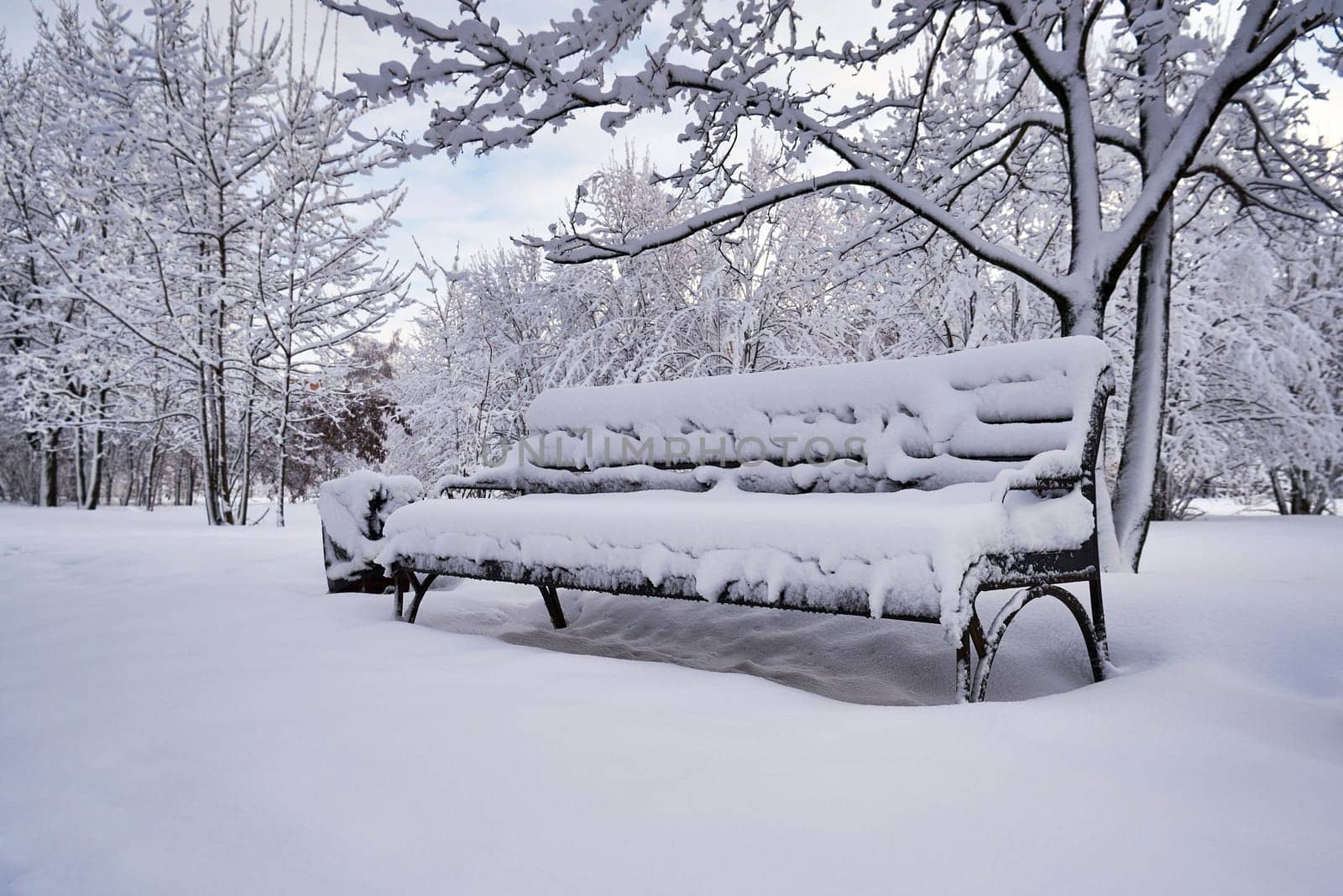 A bench in a city park covered with snow