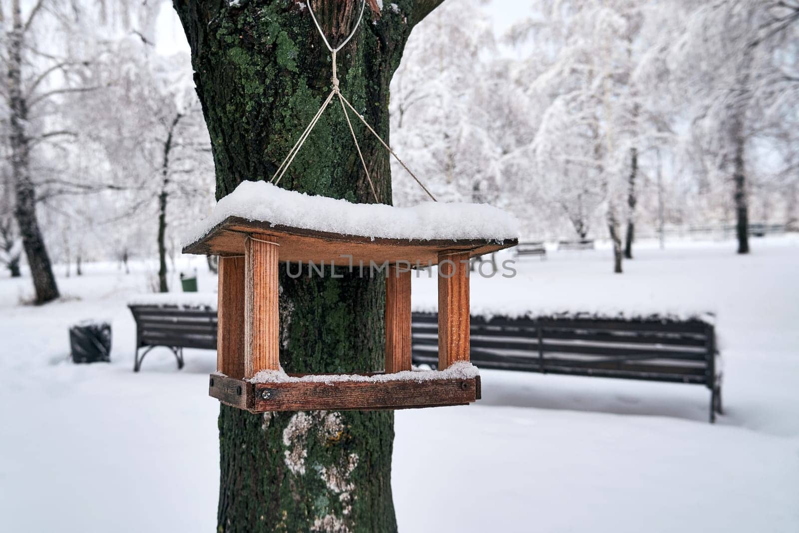 Wooden bird feeder hanging on a tree in winter park