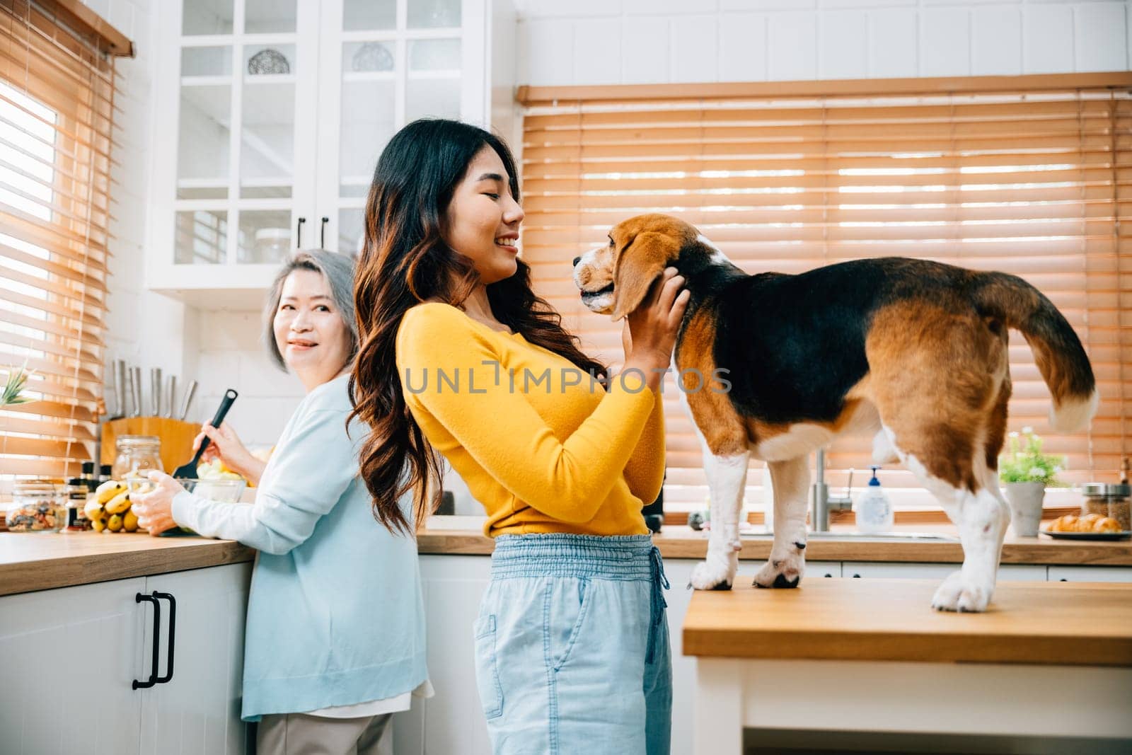 In the kitchen, a senior Asian woman, her daughter, and young woman find joy playing with their Beagle dog, emphasizing the togetherness, togetherness, and enjoyment of pet ownership.