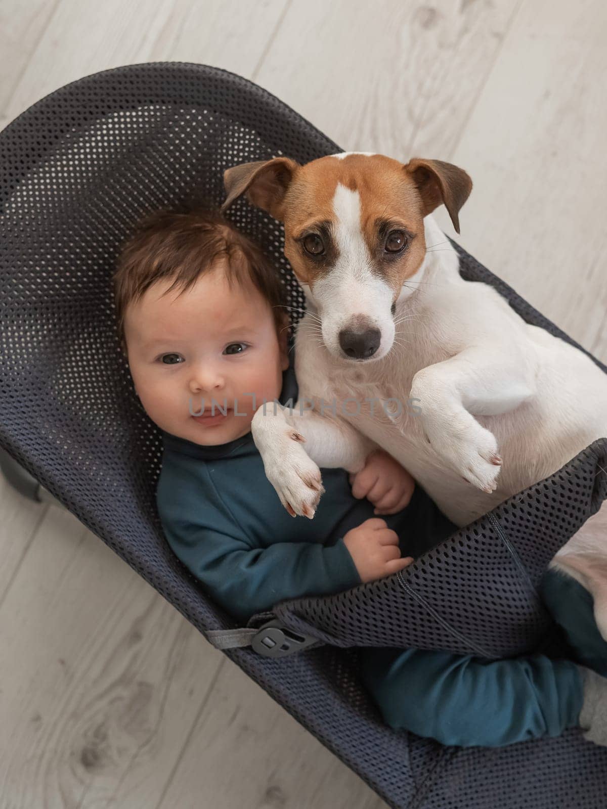 A dog and a cute three-month-old boy dressed in a blue overalls are sitting together in a baby lounger. Vertical photo