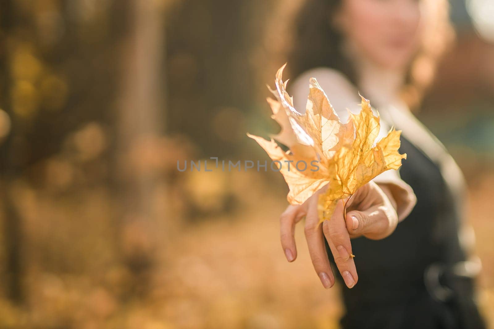 Female holds yellow dry autumn leaf close-up in hand in fall season copy space and nature concept. Copy space and empty place for text by Satura86