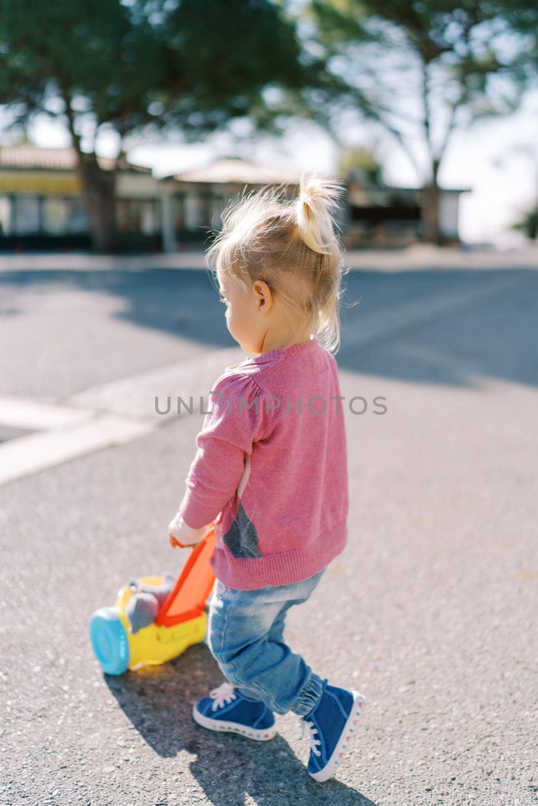 Little girl pushes a toy cart down the road in the park. Back view by Nadtochiy