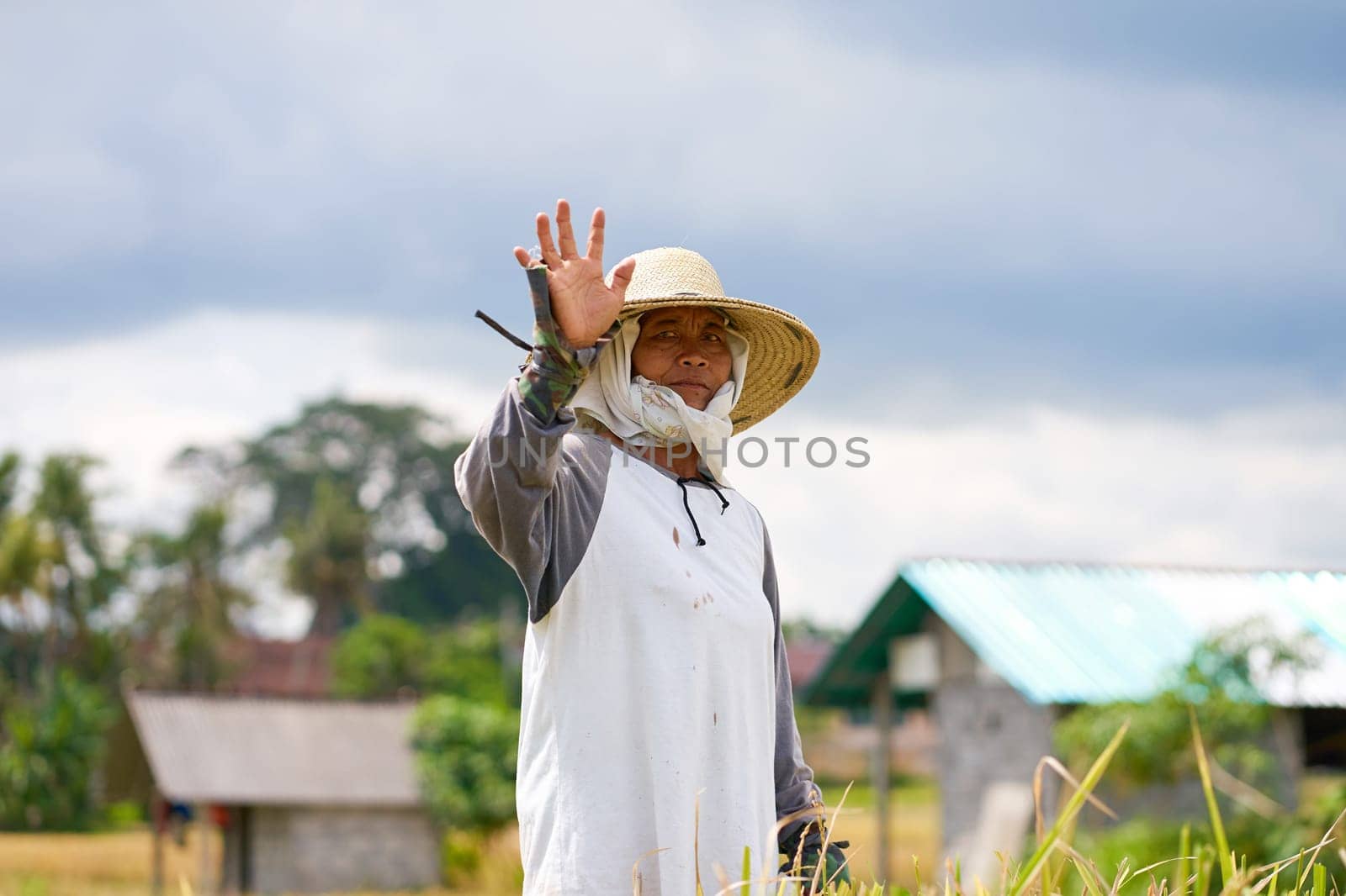 Emotional portrait of an Asian farmer wearing a straw hat and holding a sickle knife and cutting rice stalks in the field on a hot day. by Try_my_best