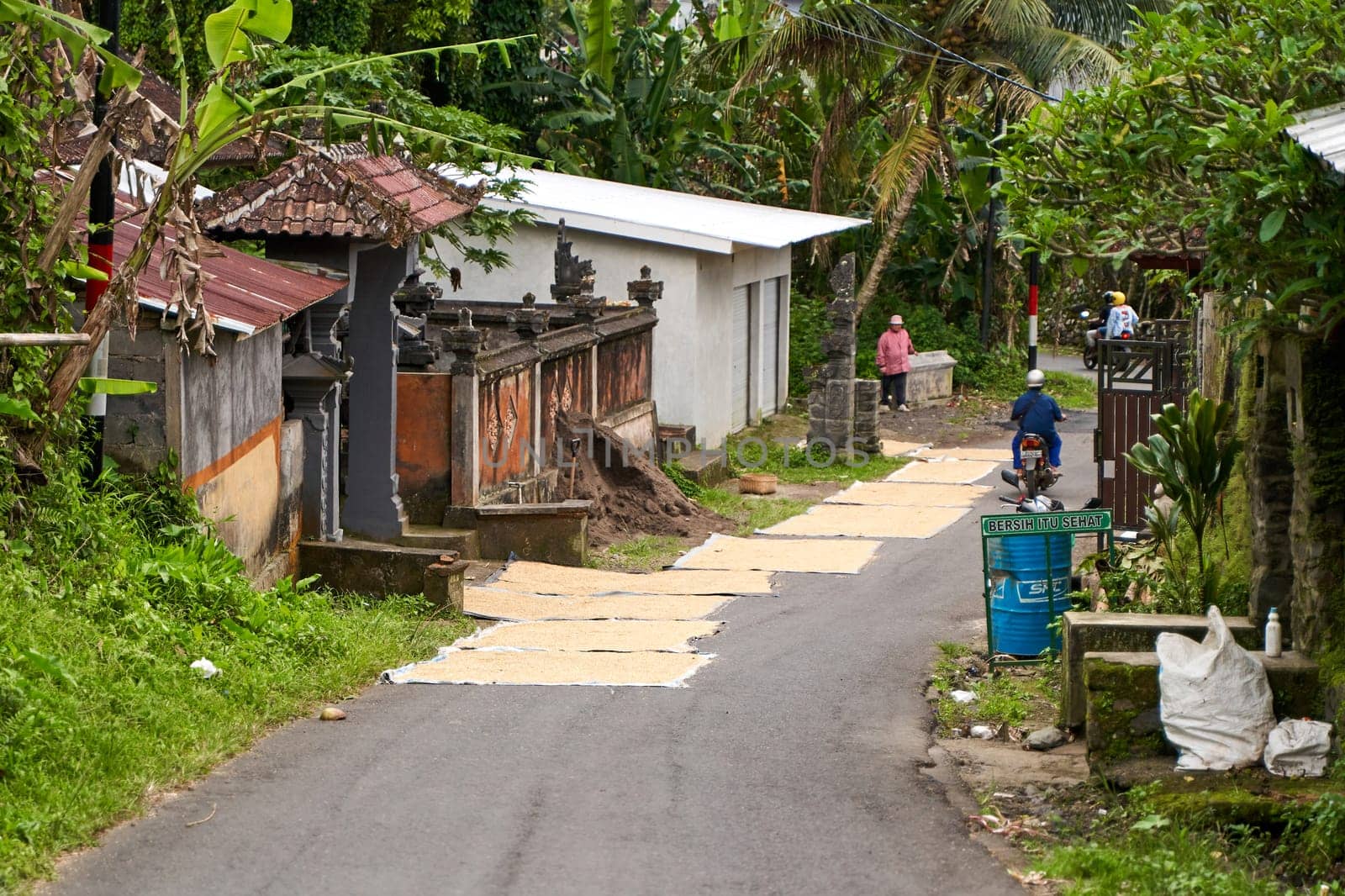 Local people dry grain on the road near their homes in Asia. Bali, Indonesia - 12.08.2022
