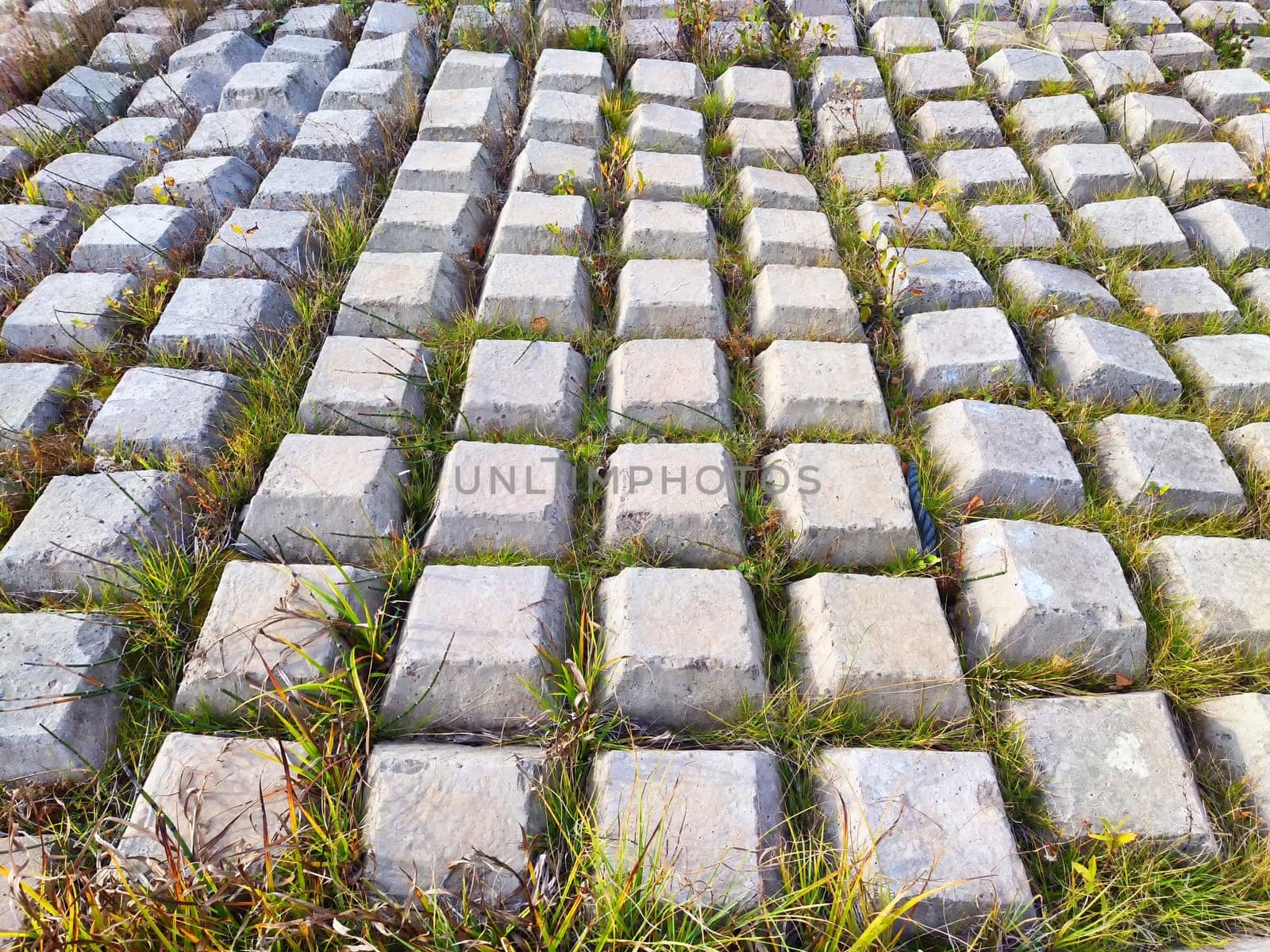 Rows of concrete cubes or rectangles on the bank of river with grass. Breakwaters, protection from water in nature. Background, texture, location