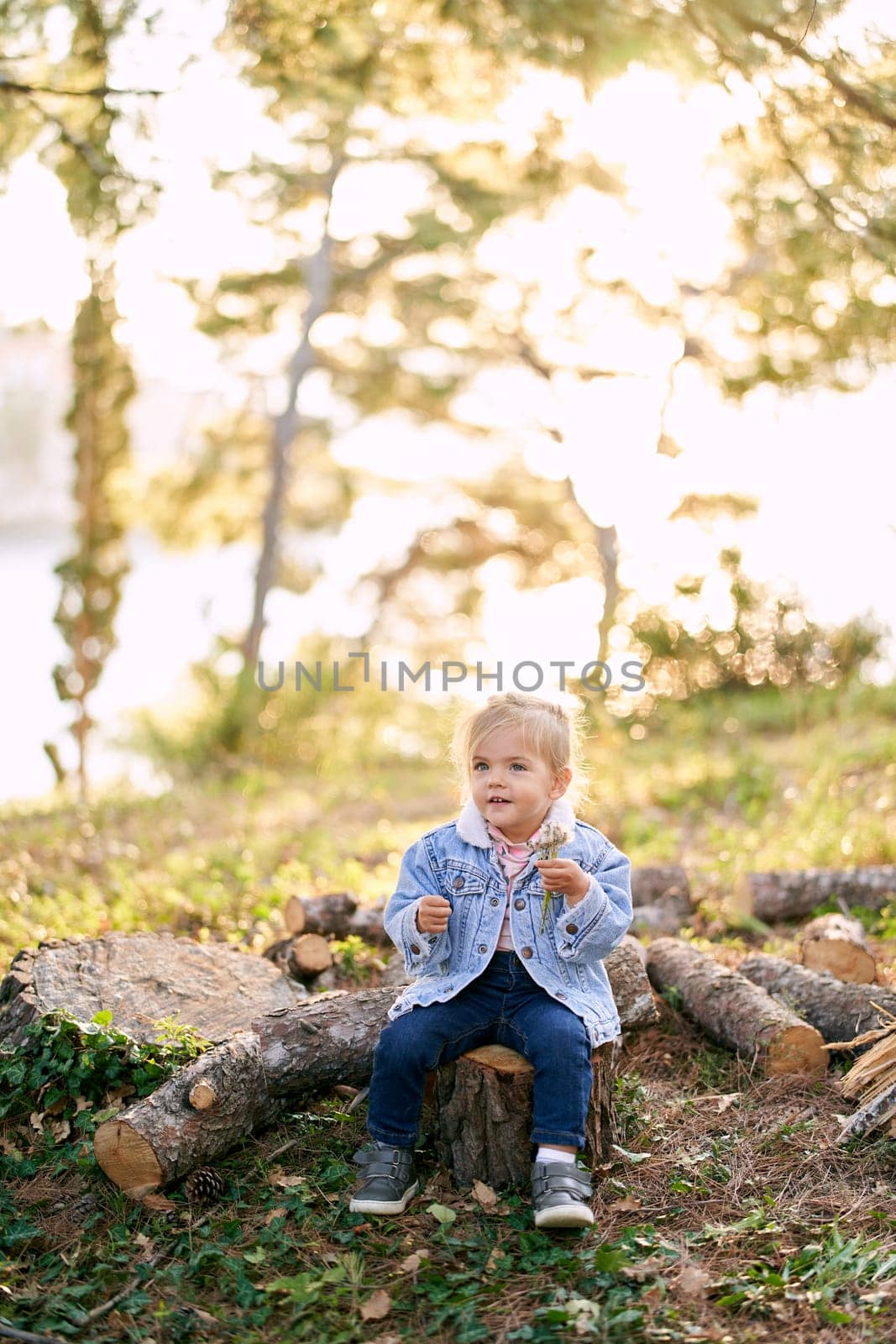 Smiling little girl with a bouquet of dandelions sits on a stump in the forest by Nadtochiy