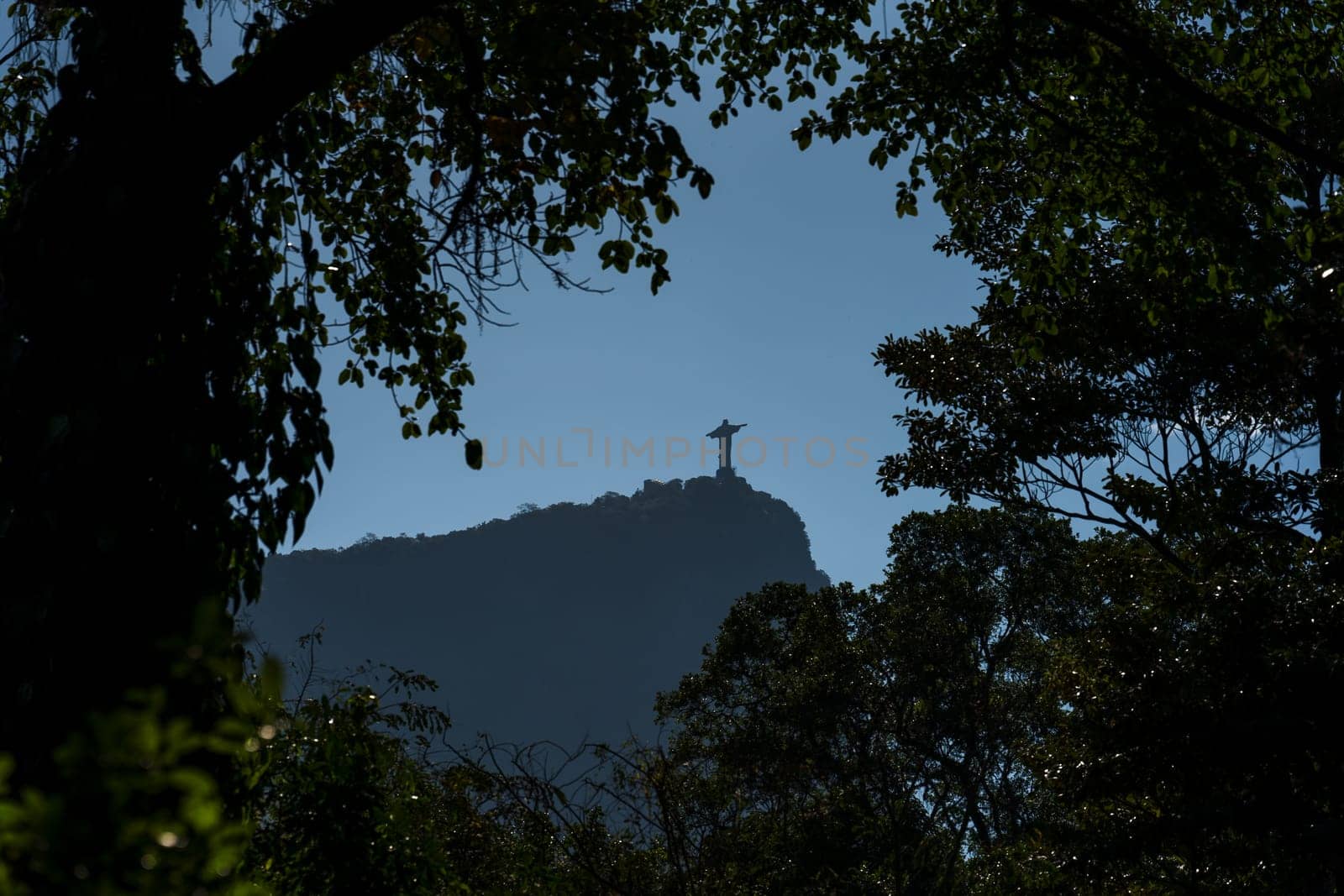 Silhouette of Christ the Redeemer in Rio framed by greenery.