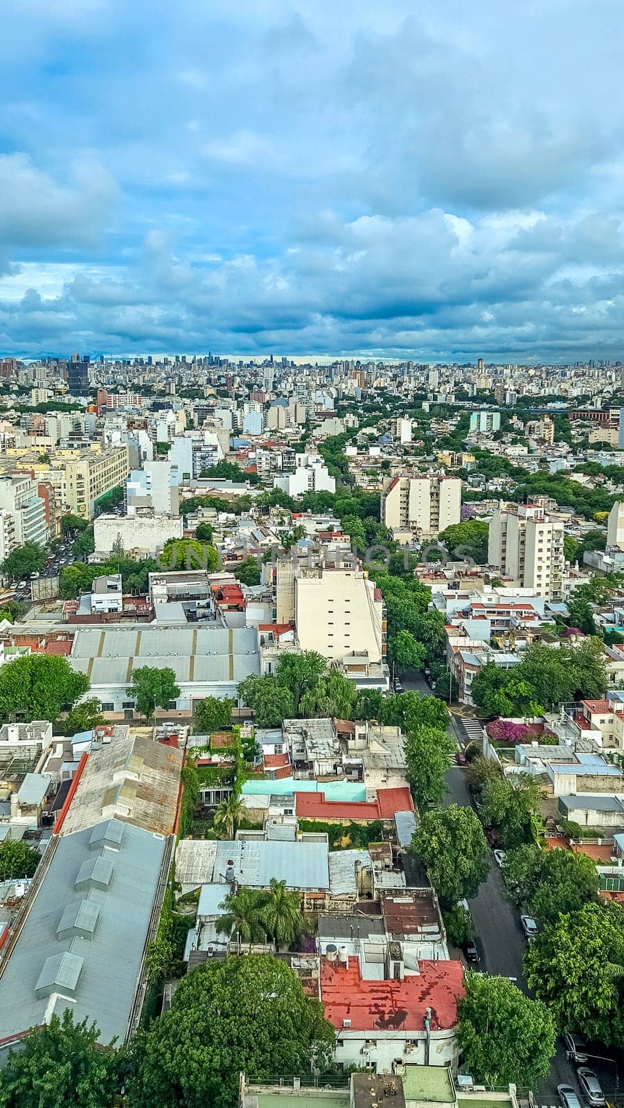 Buenos Aires skyline with bird's eye view. vertical