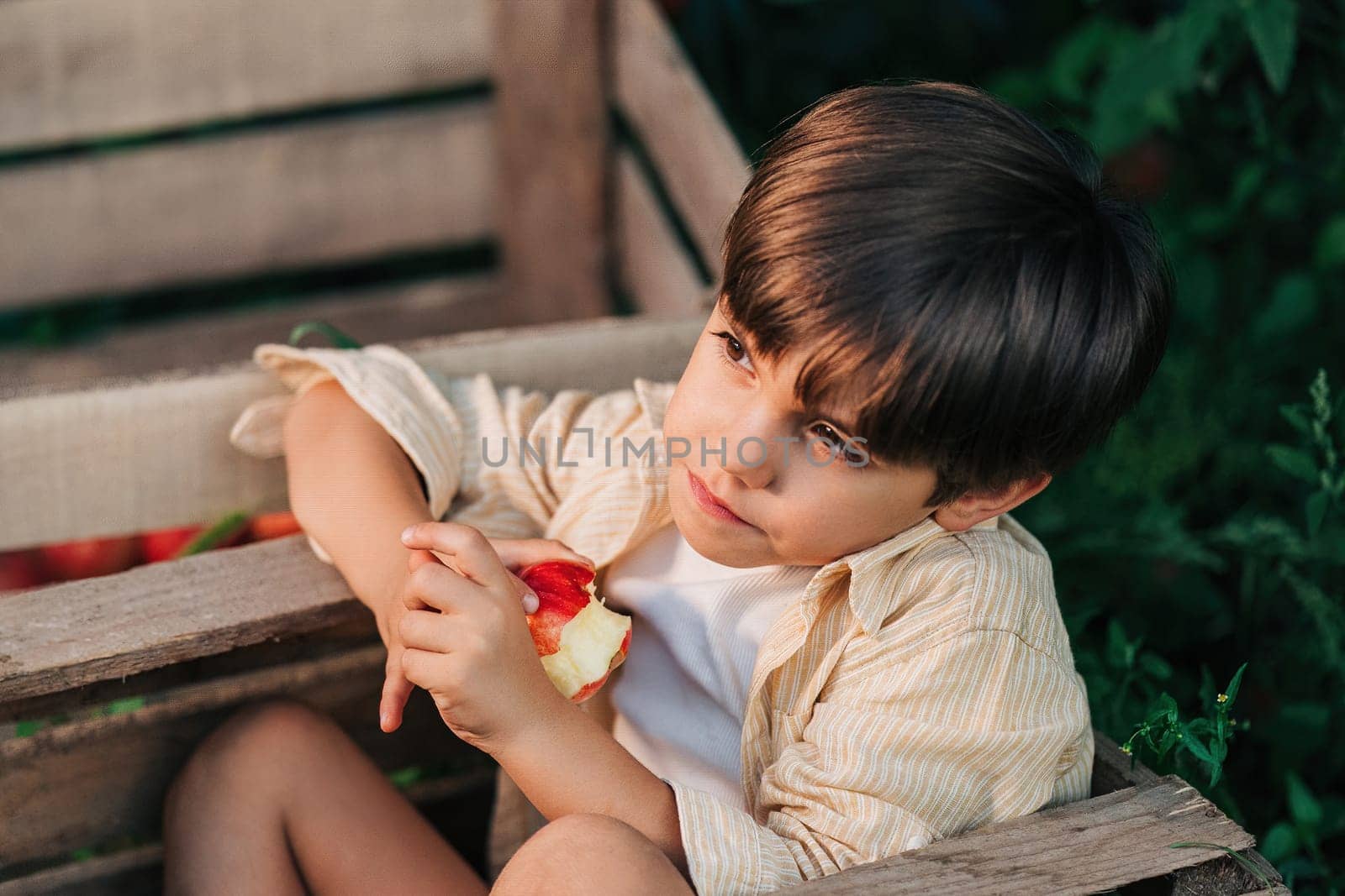 Funny little boy eating juicy apple,sitting in wooden box orchard.Organic fruits by kristina_kokhanova