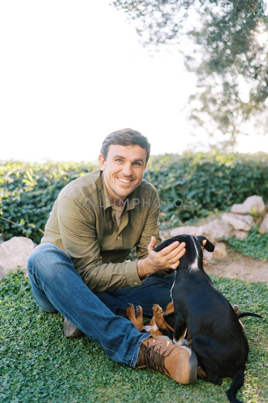 Smiling young man sits on the lawn and pets large puppies climbing on his lap. High quality photo