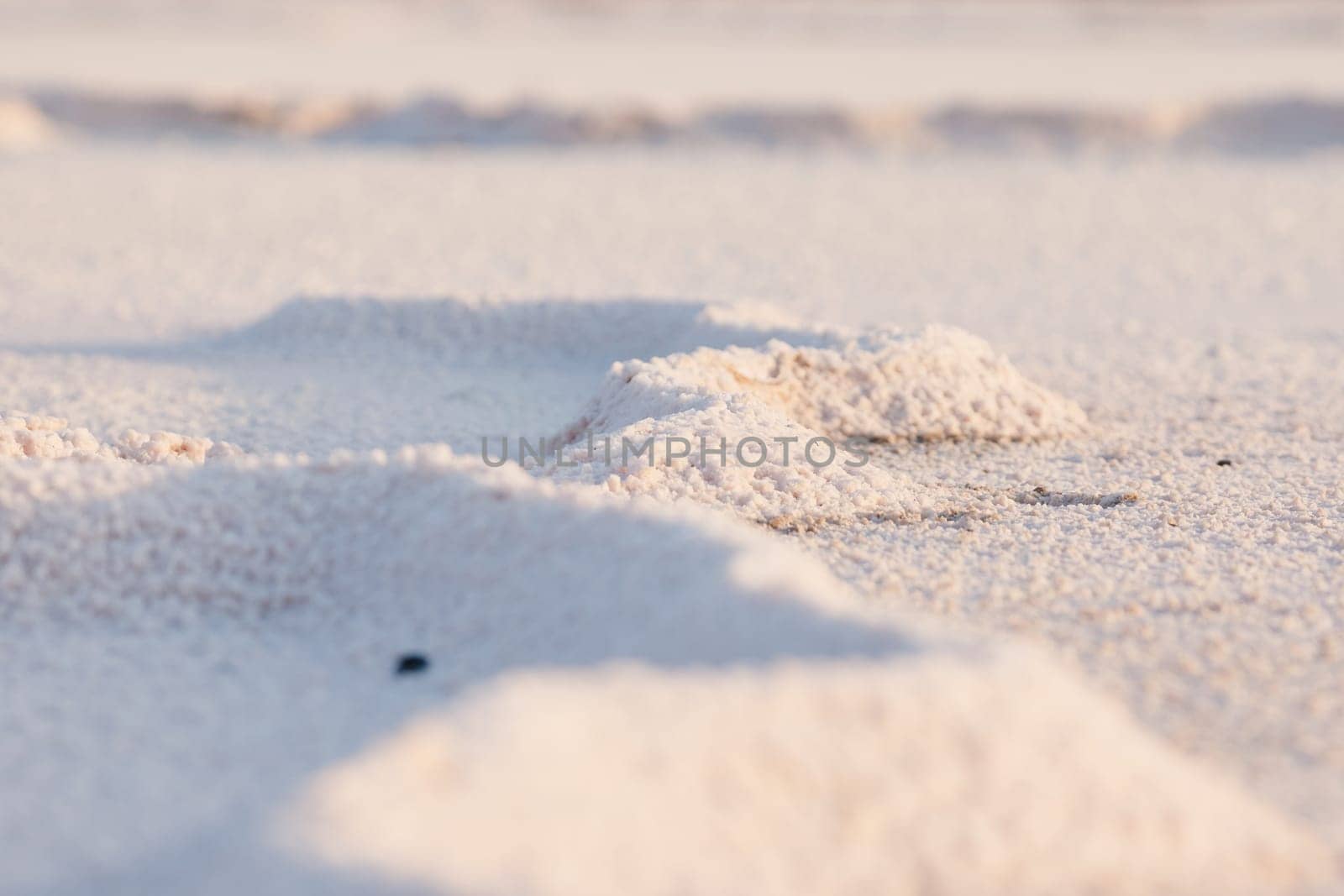 landscape of dry salt lake bed, cracked surface. Natural salt Close up. Surface of a salt lake, background. Top view on Pink salt lake by EvgeniyQW