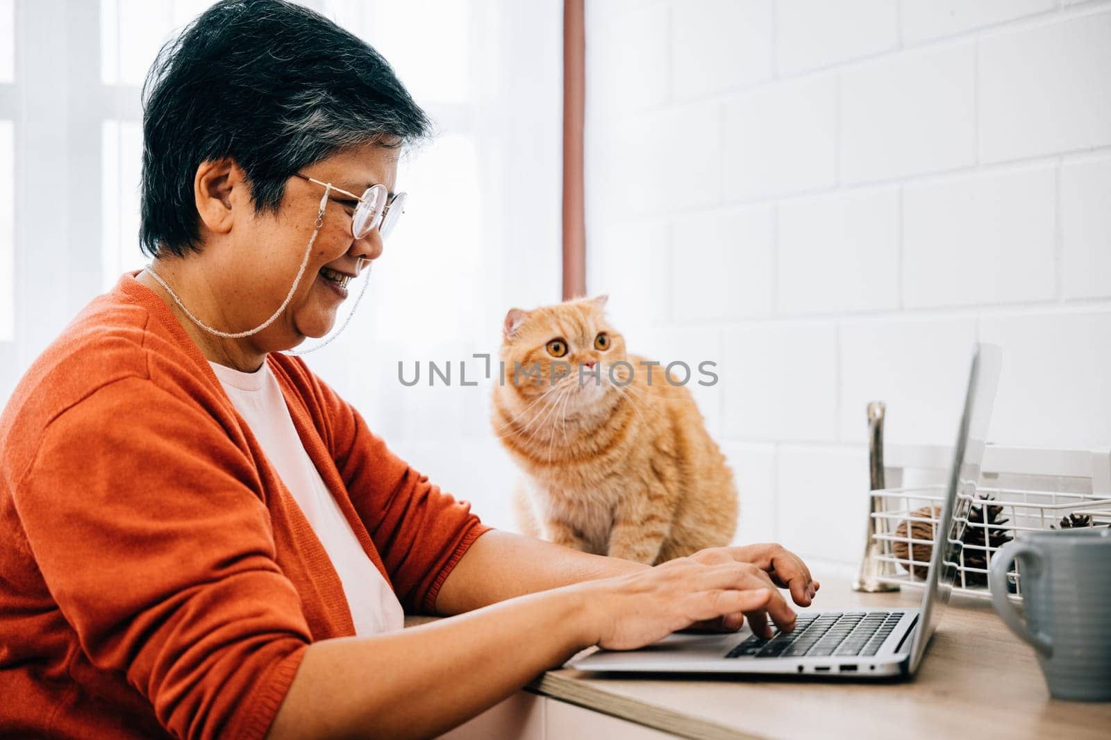 A woman works on her laptop at her desk in the morning, with her elderly cat looking on. Their friendship and togetherness create a heartwarming atmosphere of relaxation and productivity. pet love