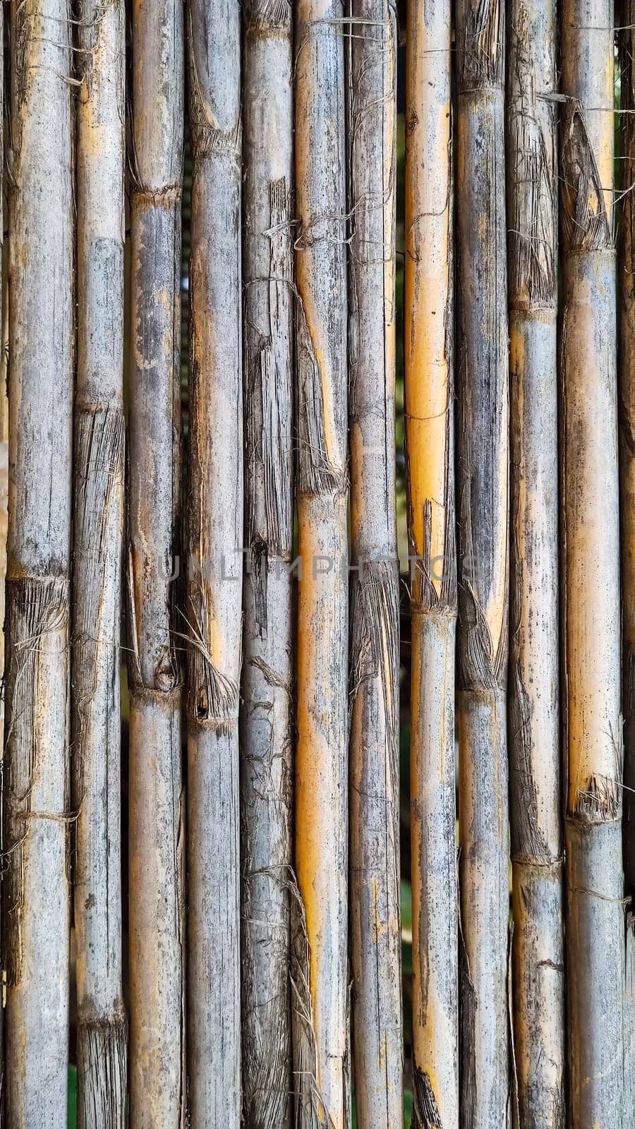 Background texture of dry bamboo cane. Flat lay, vertical frame by Laguna781