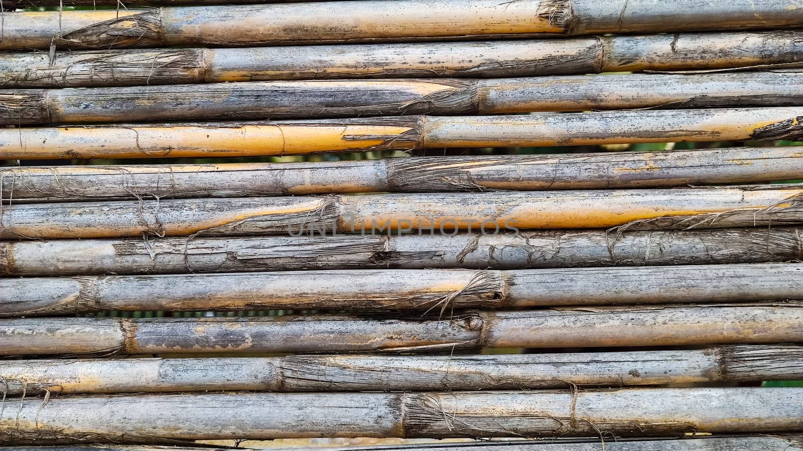 Background texture of dry bamboo cane, flat lay, vertical frame, close-up