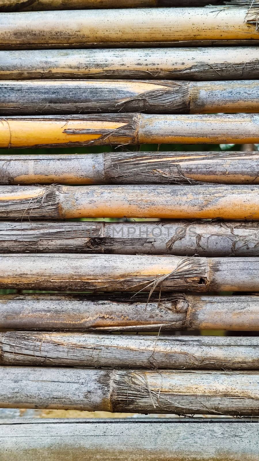 Background texture of dry reed cane. Flat lay, vertical frame, close-up