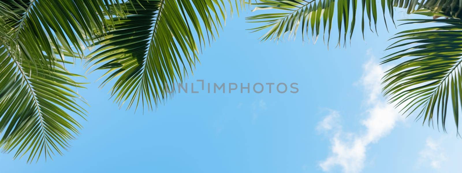 Palm leaf against the sky on tropical island. selective focus. generative AI, by mila1784