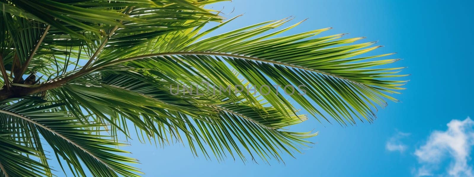 Palm leaf against the sky on tropical island. selective focus. generative AI, by mila1784