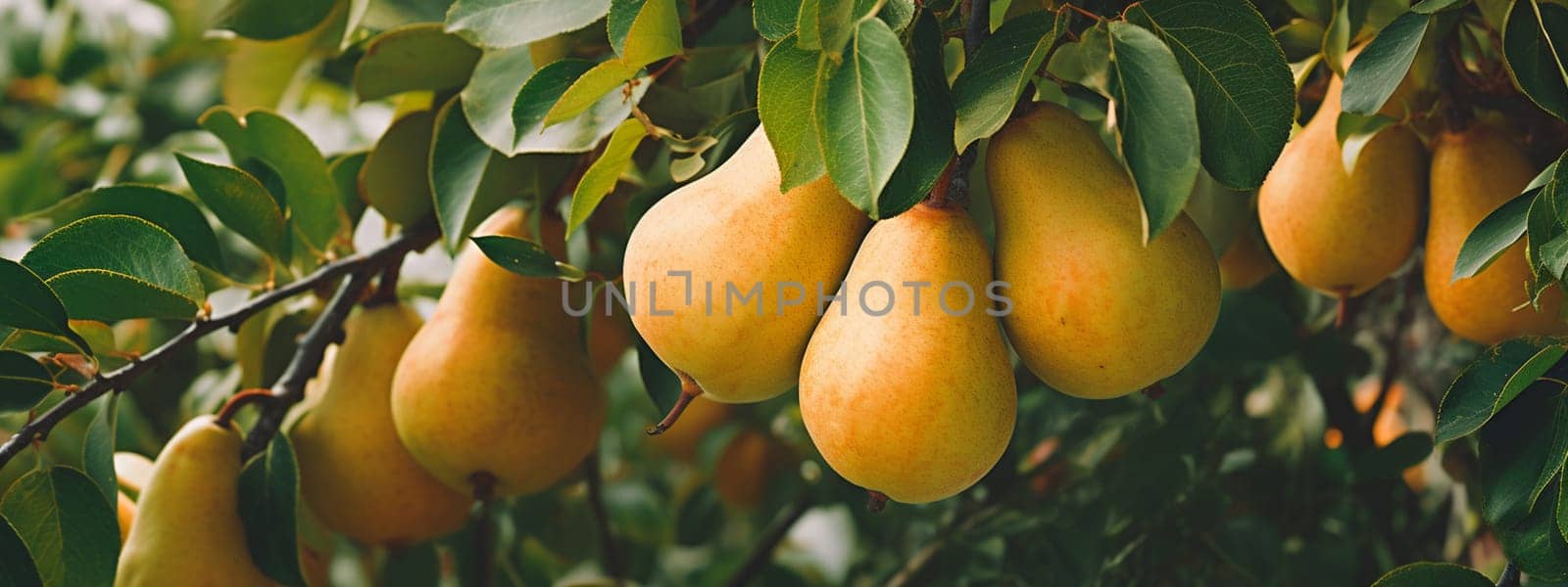 pears grow on a tree. selective focus. Food Generative AI,