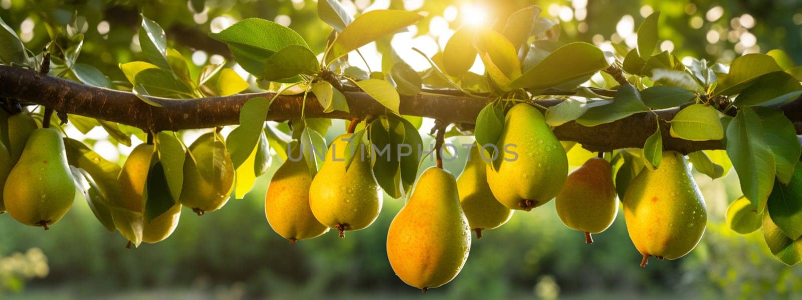 pears grow on a tree. selective focus. Food Generative AI,