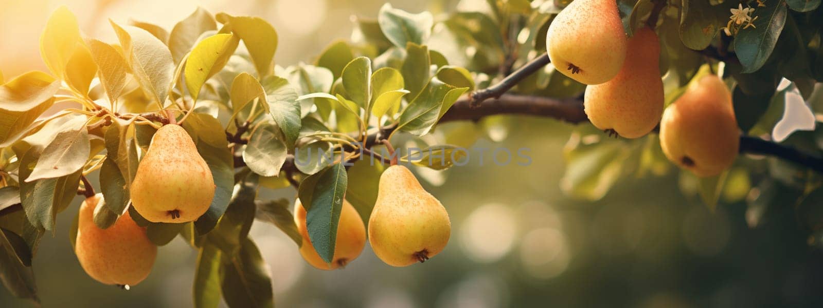 pears grow on a tree. selective focus. Food Generative AI,