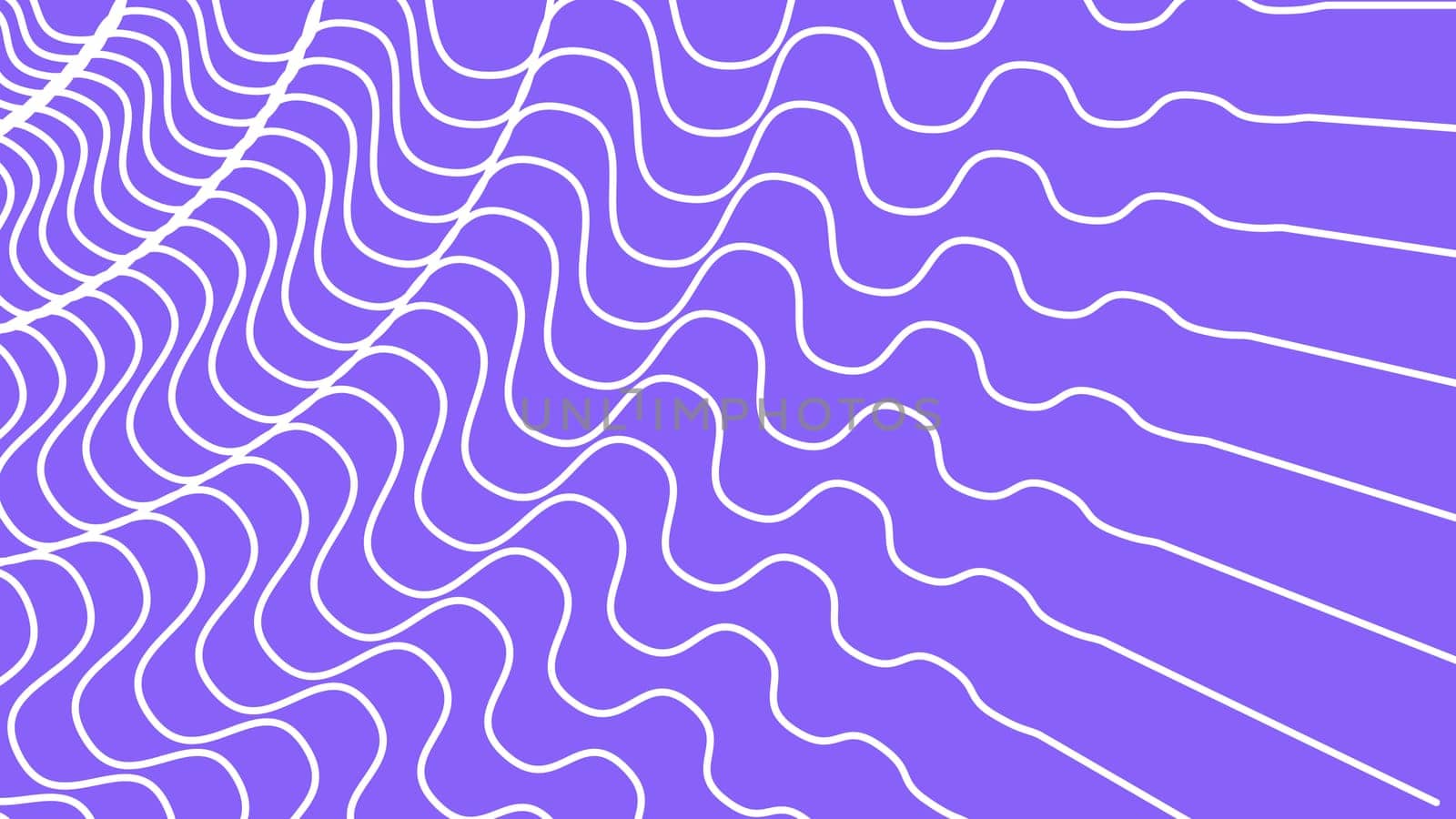 Minimal wavy abstract background. White curved lines on purple background. High quality photo
