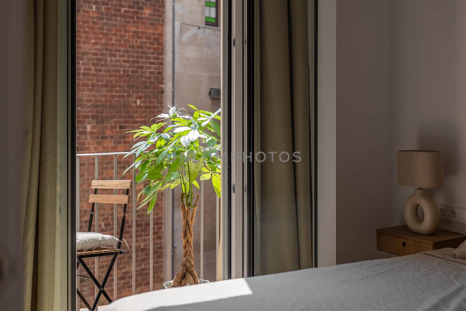 Houseplant on sunny terrace view from bedroom window by apavlin
