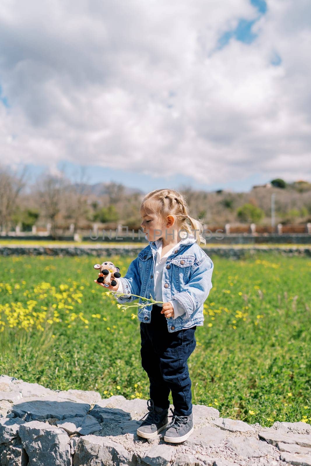 Little girl with a wildflower stands on a stone fence in a meadow and looks at a soft toy in her hand. High quality photo